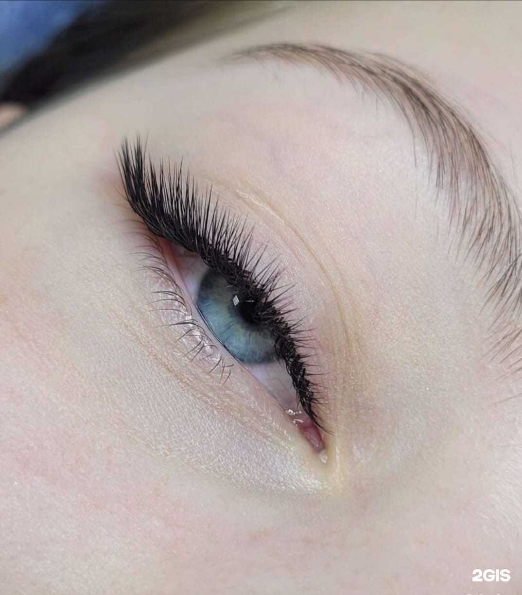 Отзывы на компанию Meduza в Новосибирске c фото