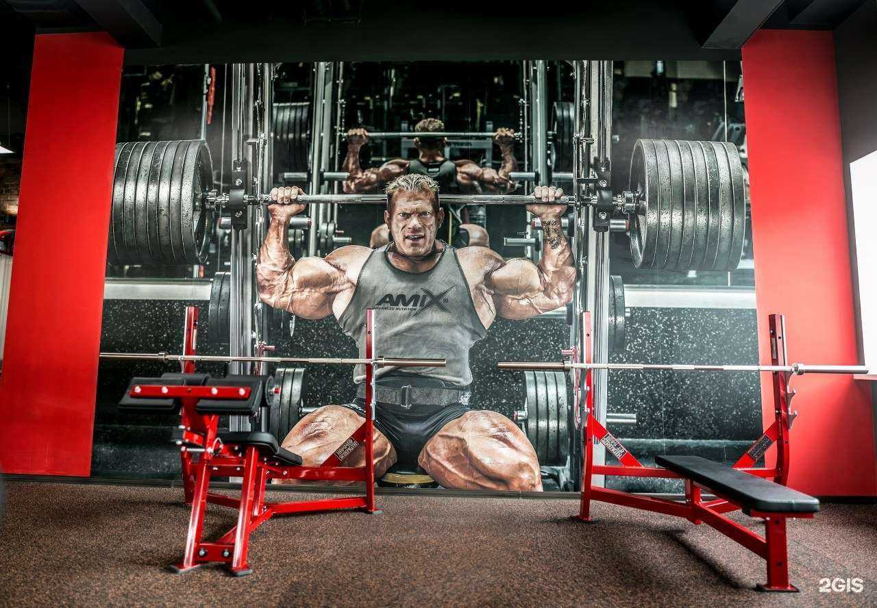 Отзывы на компанию MASS GYM в г. Уфа c фото