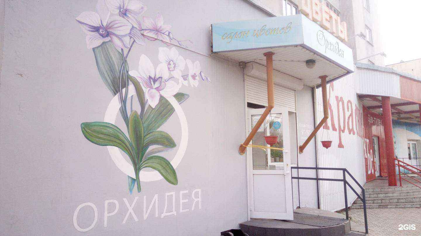 Отзывы на компанию Орхидея в г. Салават c фото