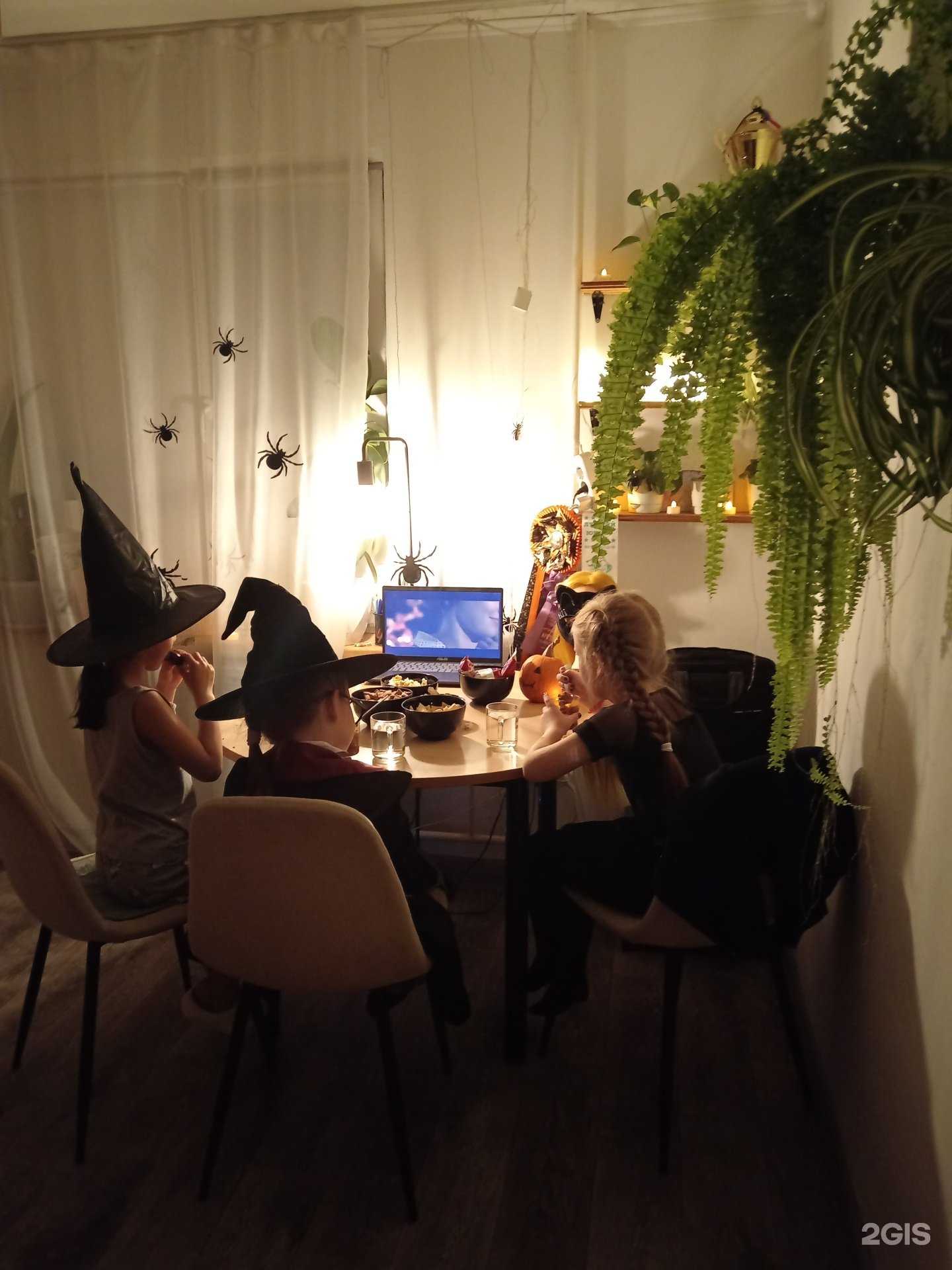 Отзывы на компанию Английский для детей в Хабаровске c фото