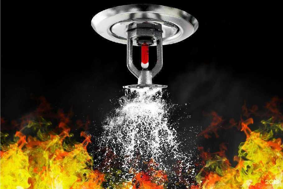 Отзывы на компанию Электронные системы безопасности в г. Ростов-на-Дону c фото