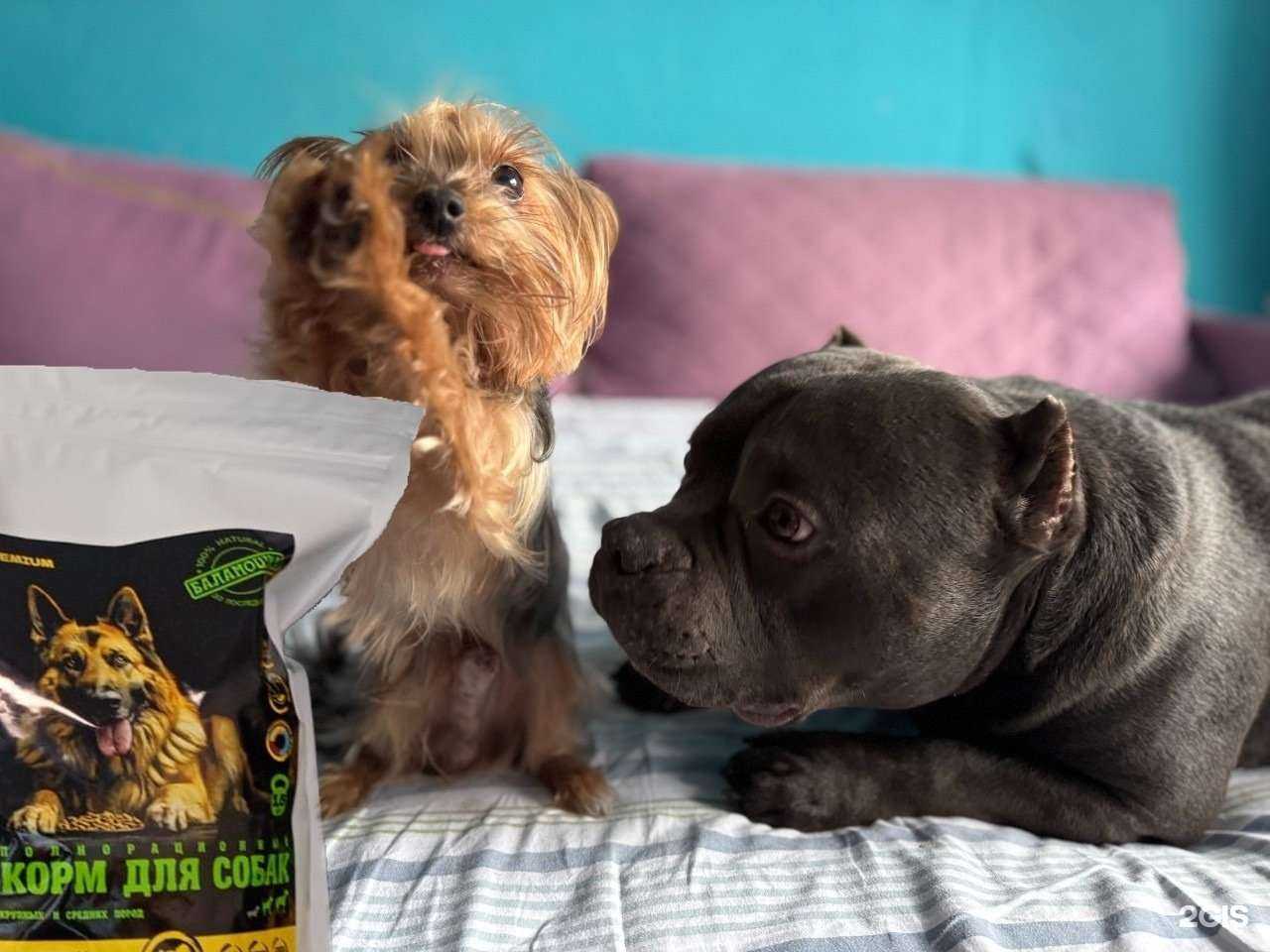 Отзывы на компанию Баламошка в г. Смоленск c фото