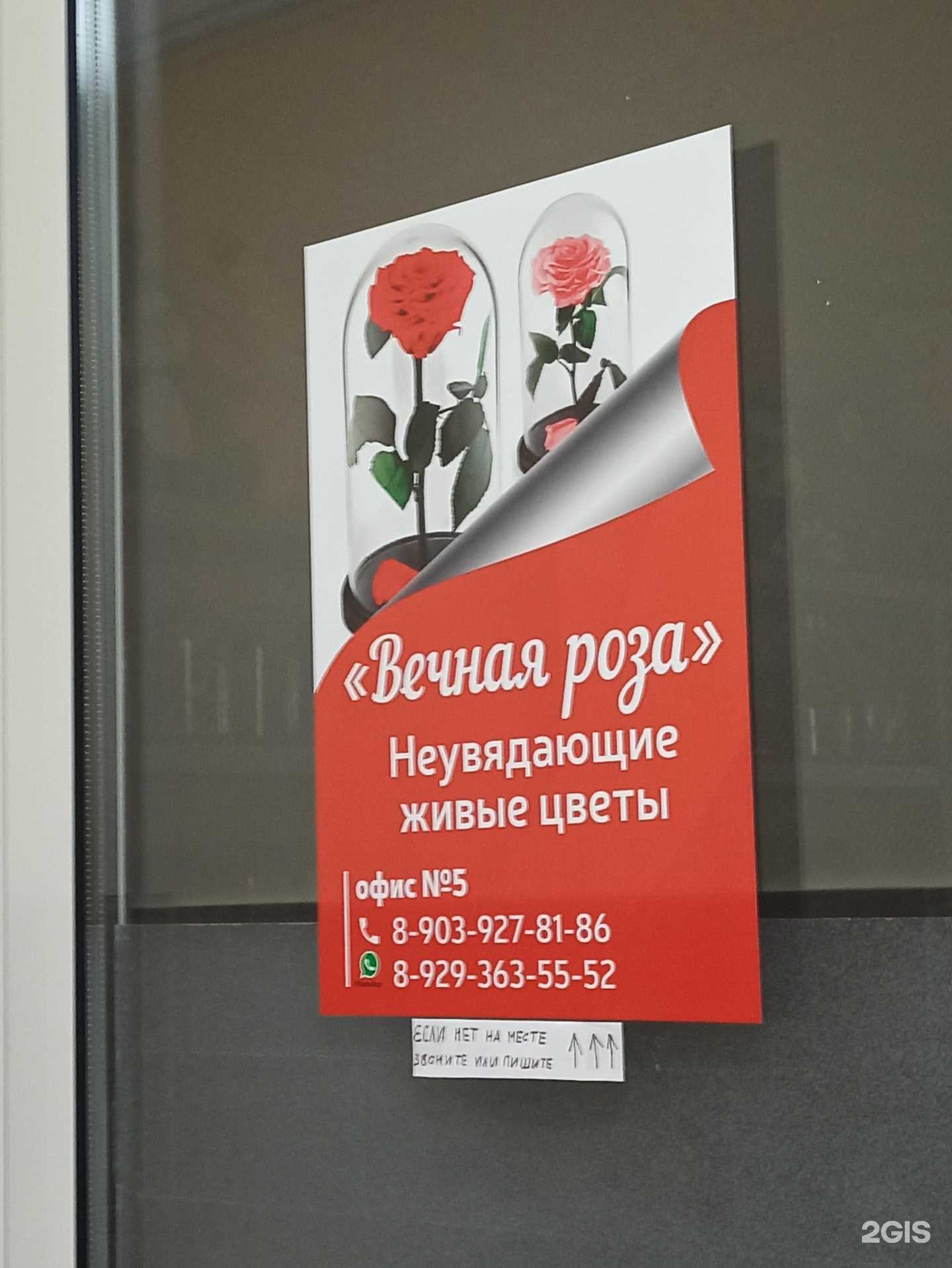 Отзывы на компанию Вечная роза в г. Омск c фото