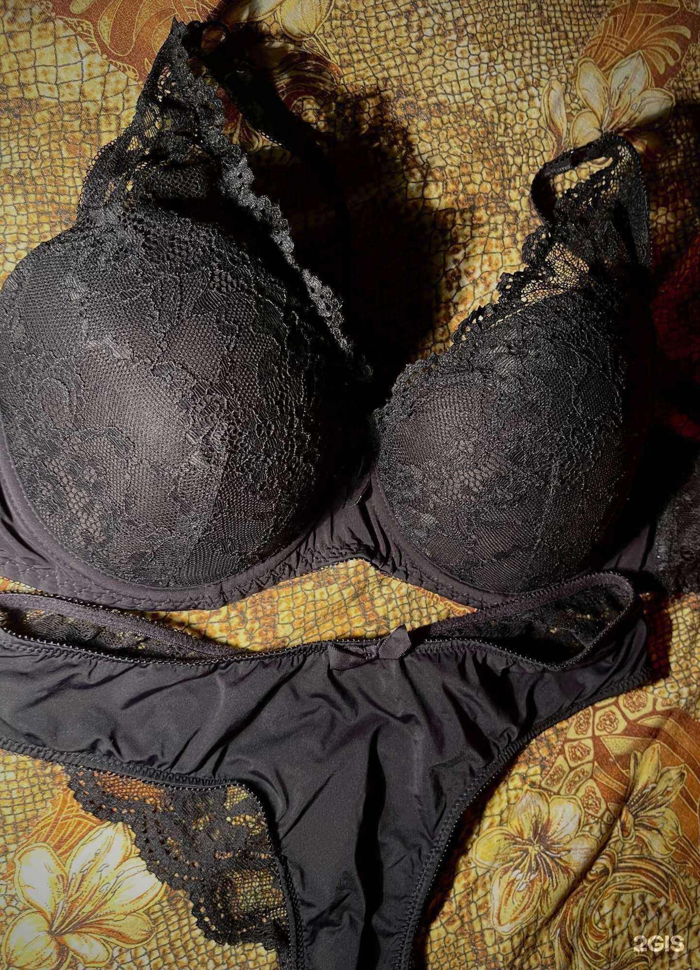 Отзывы на компанию Бюстерра в Сургуте c фото