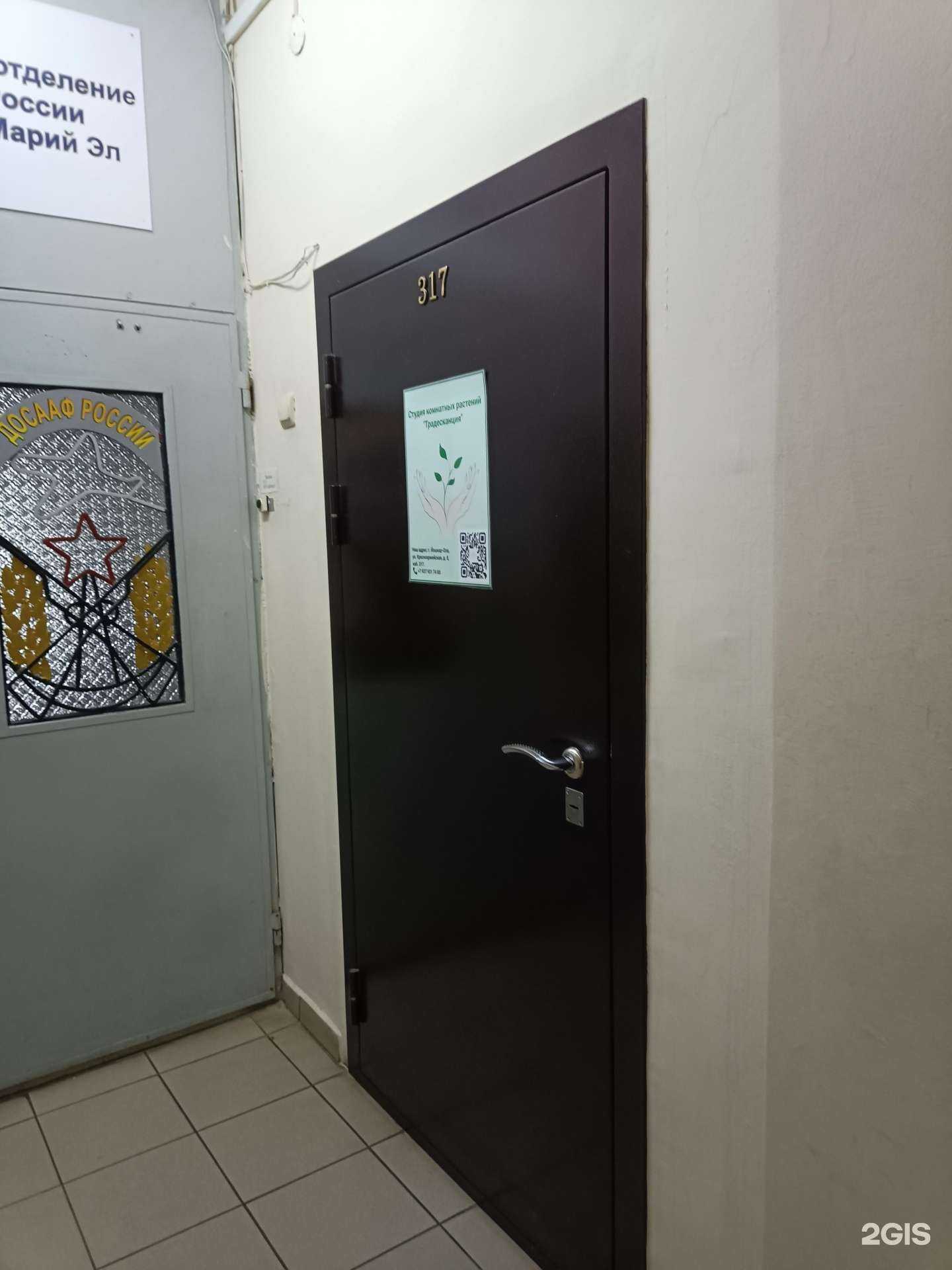 Отзывы на компанию Традесканция в г. Йошкар-Ола c фото