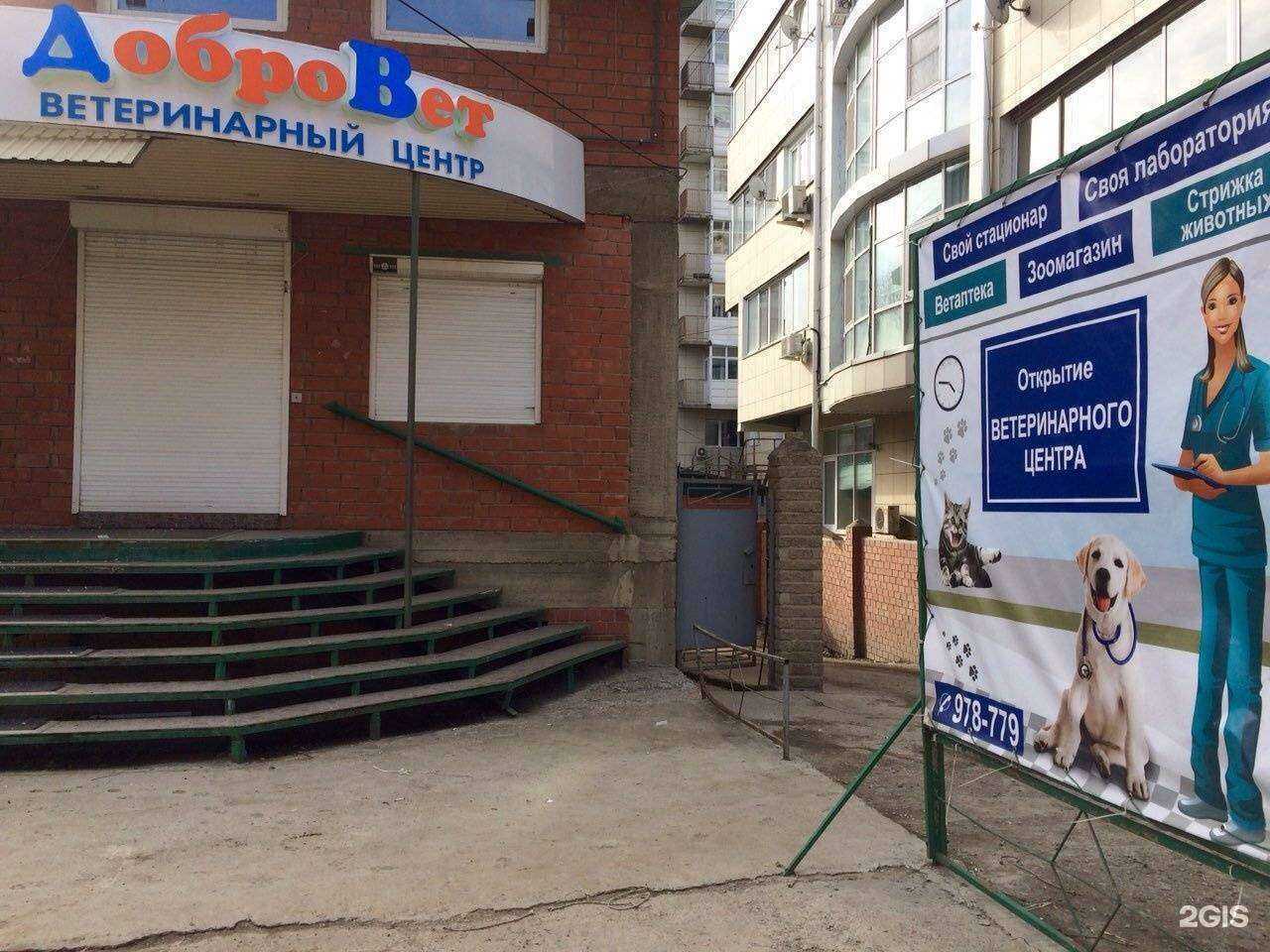 Отзывы на компанию Добровет24 в Иркутске c фото - фотография 2 из 2