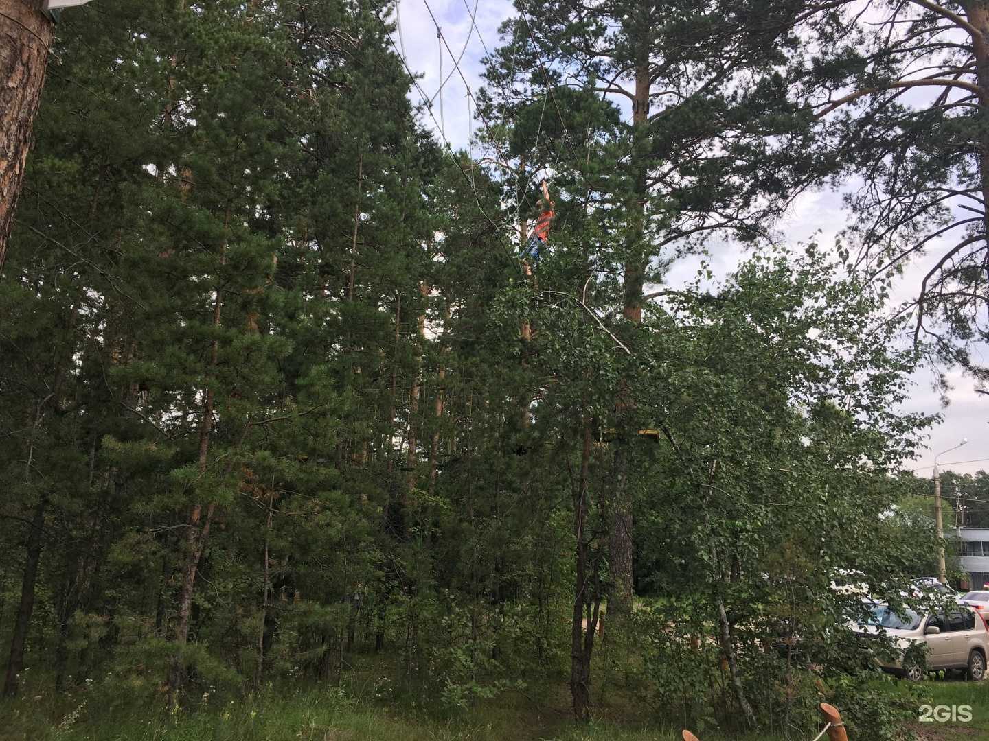 Отзывы на компанию Джунгли в Барнауле c фото - фотография 2 из 2