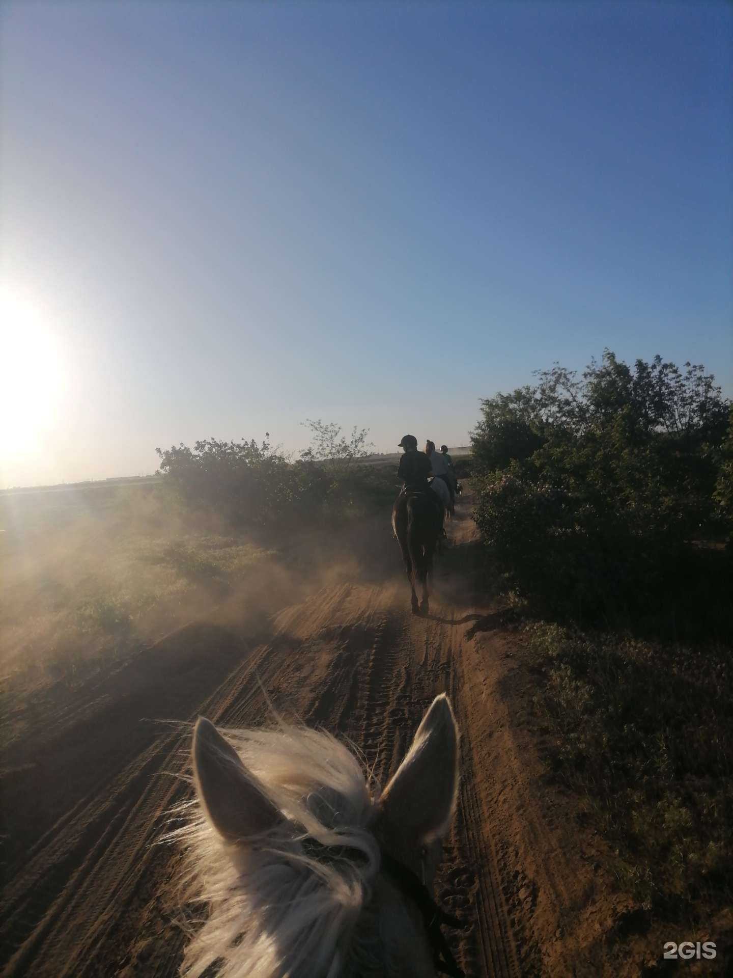 Отзывы на компанию Фаворит в г. Волгоград c фото