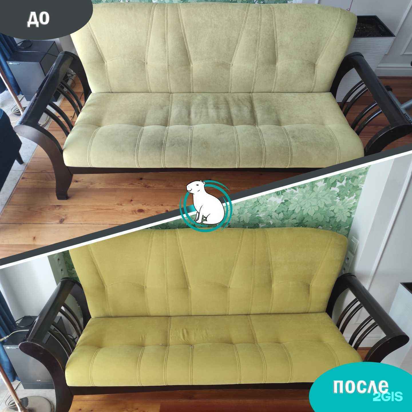 Отзывы на компанию Капибара в Новосибирске c фото