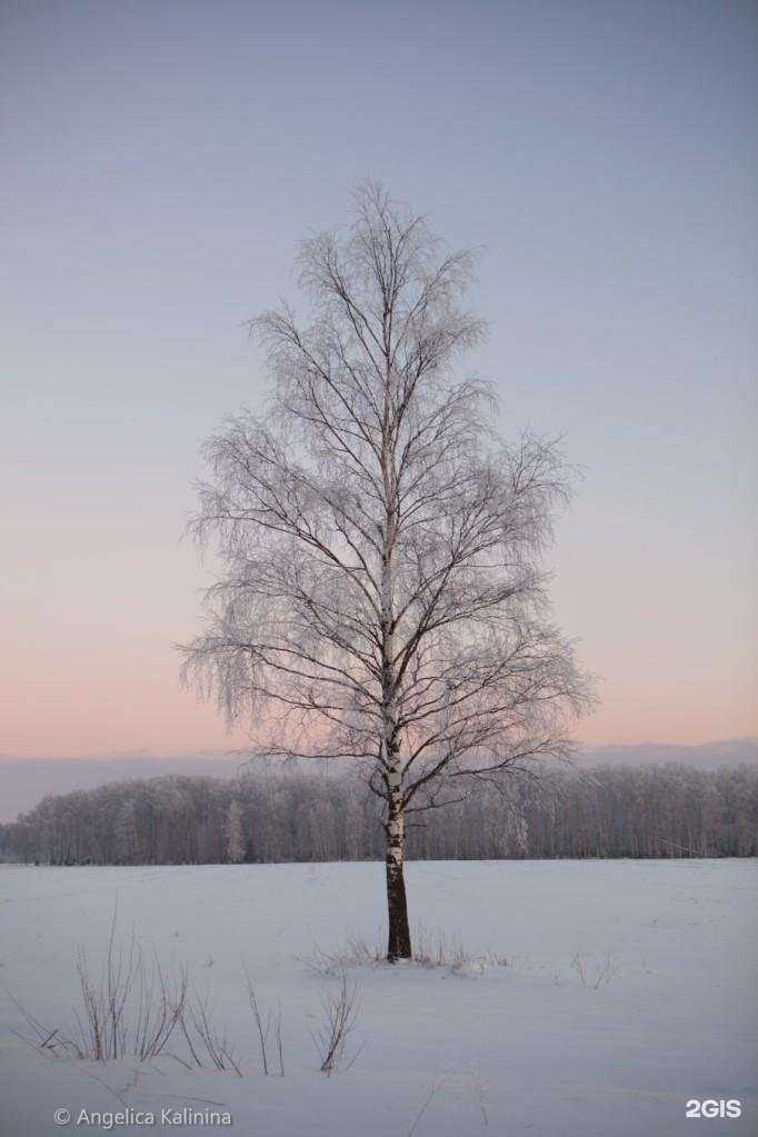 Отзывы на компанию Анжелика Калинина в Иванове c фото