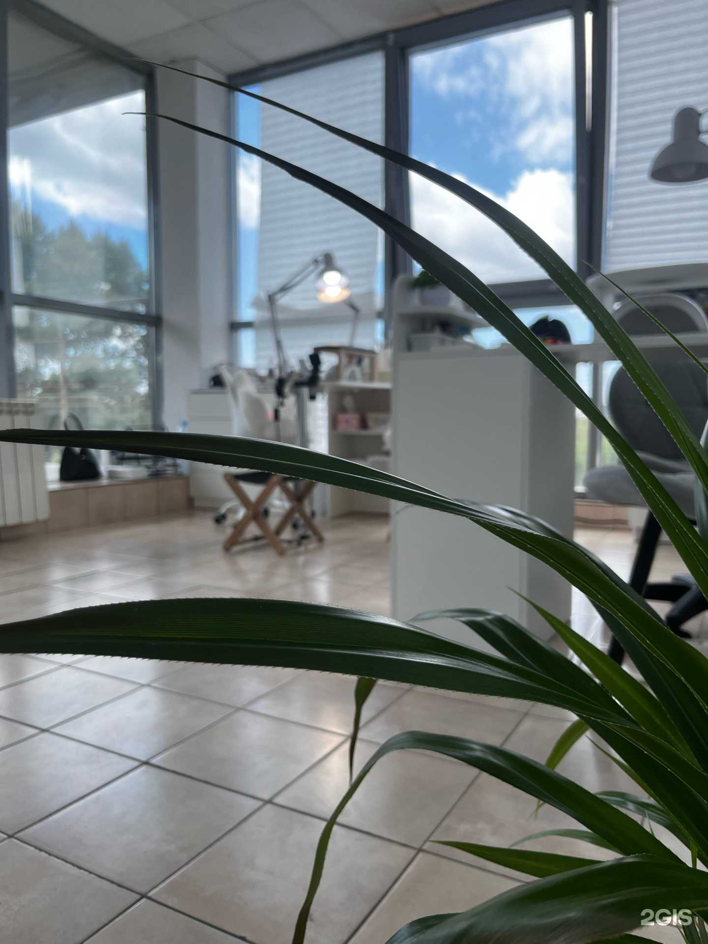 Отзывы на компанию Elilacq в Омске c фото