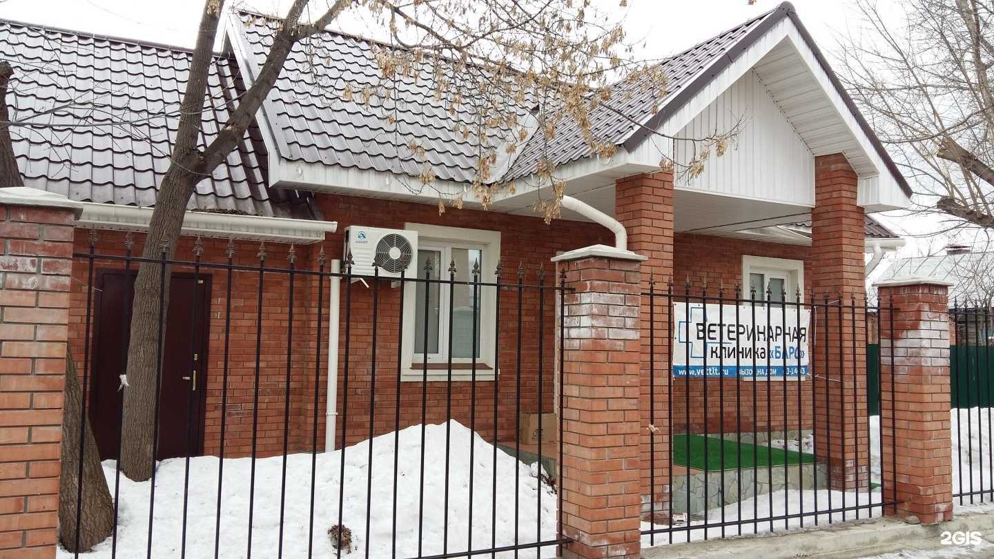 Отзывы на компанию Ветеринарная клиника в г. Тольятти c фото