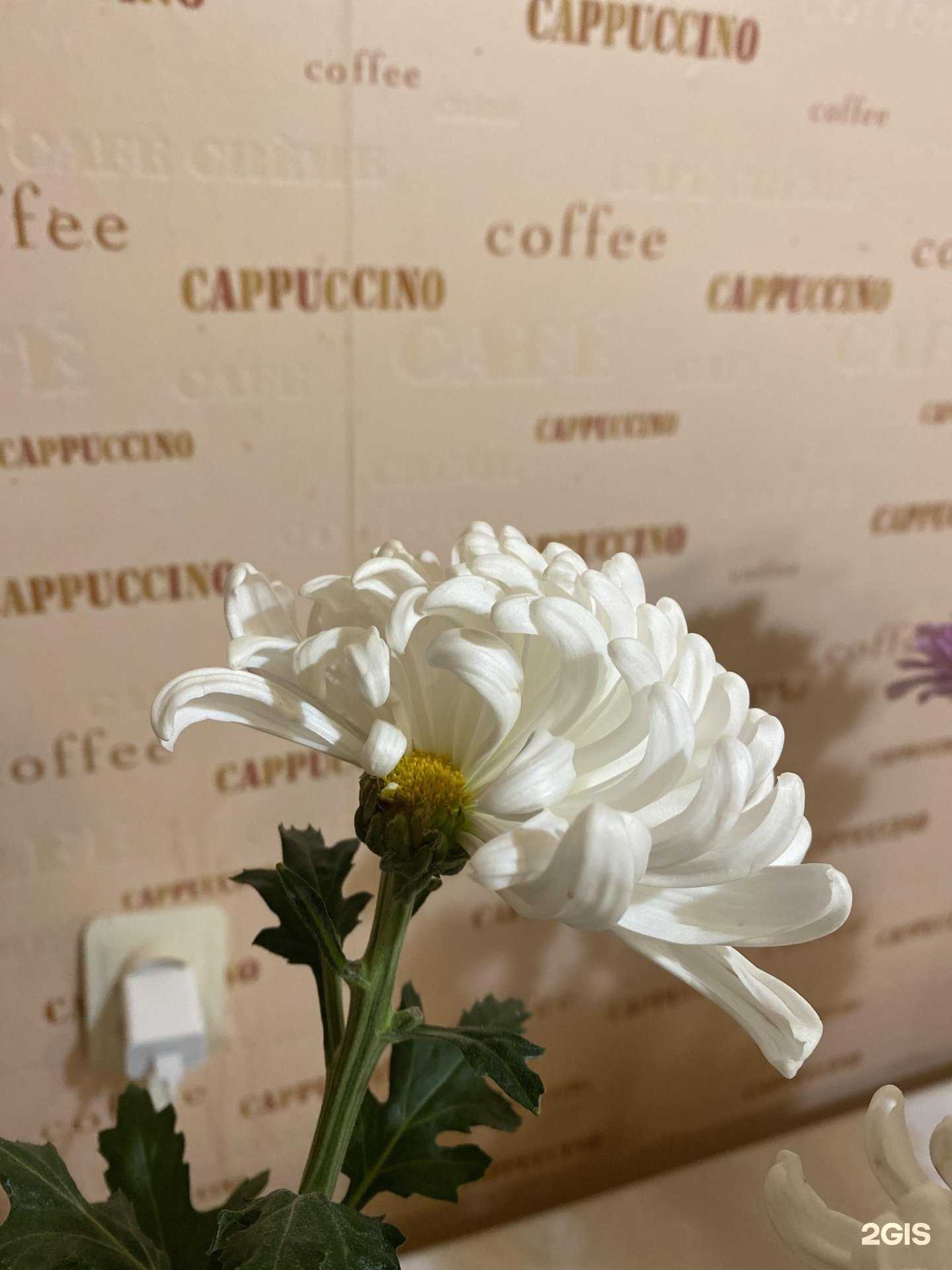 Отзывы на компанию Киоск по продаже цветов в Воронеже c фото