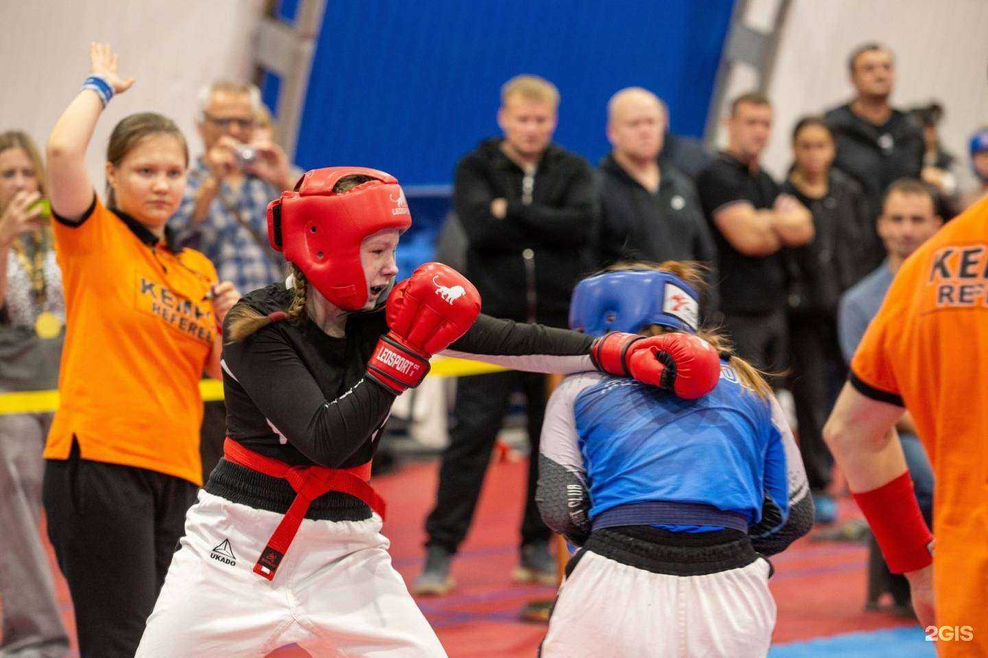 Отзывы на компанию Витязи в г. Липецк c фото