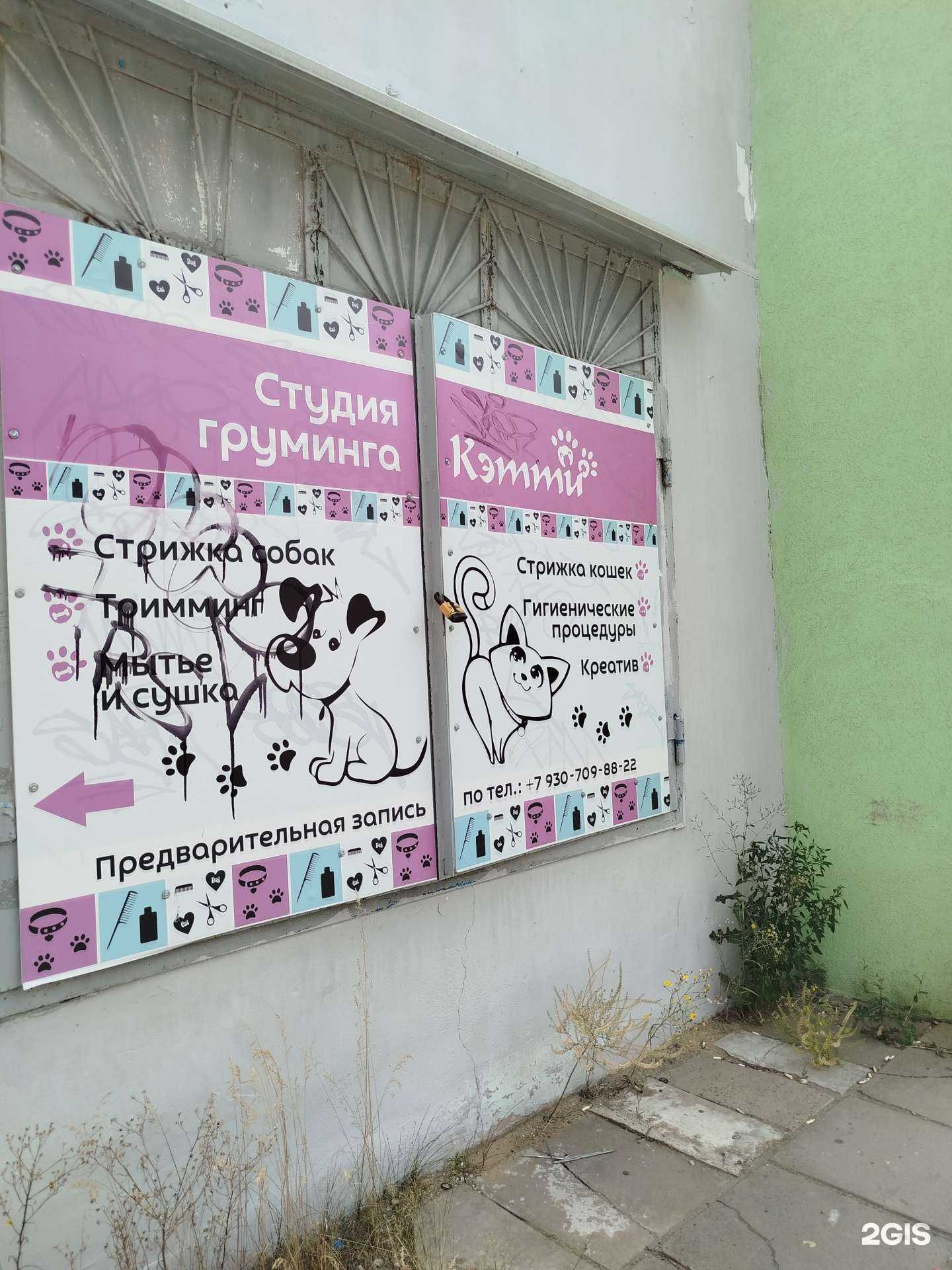 Отзывы на компанию Пушистое счастье в Дзержинске c фото