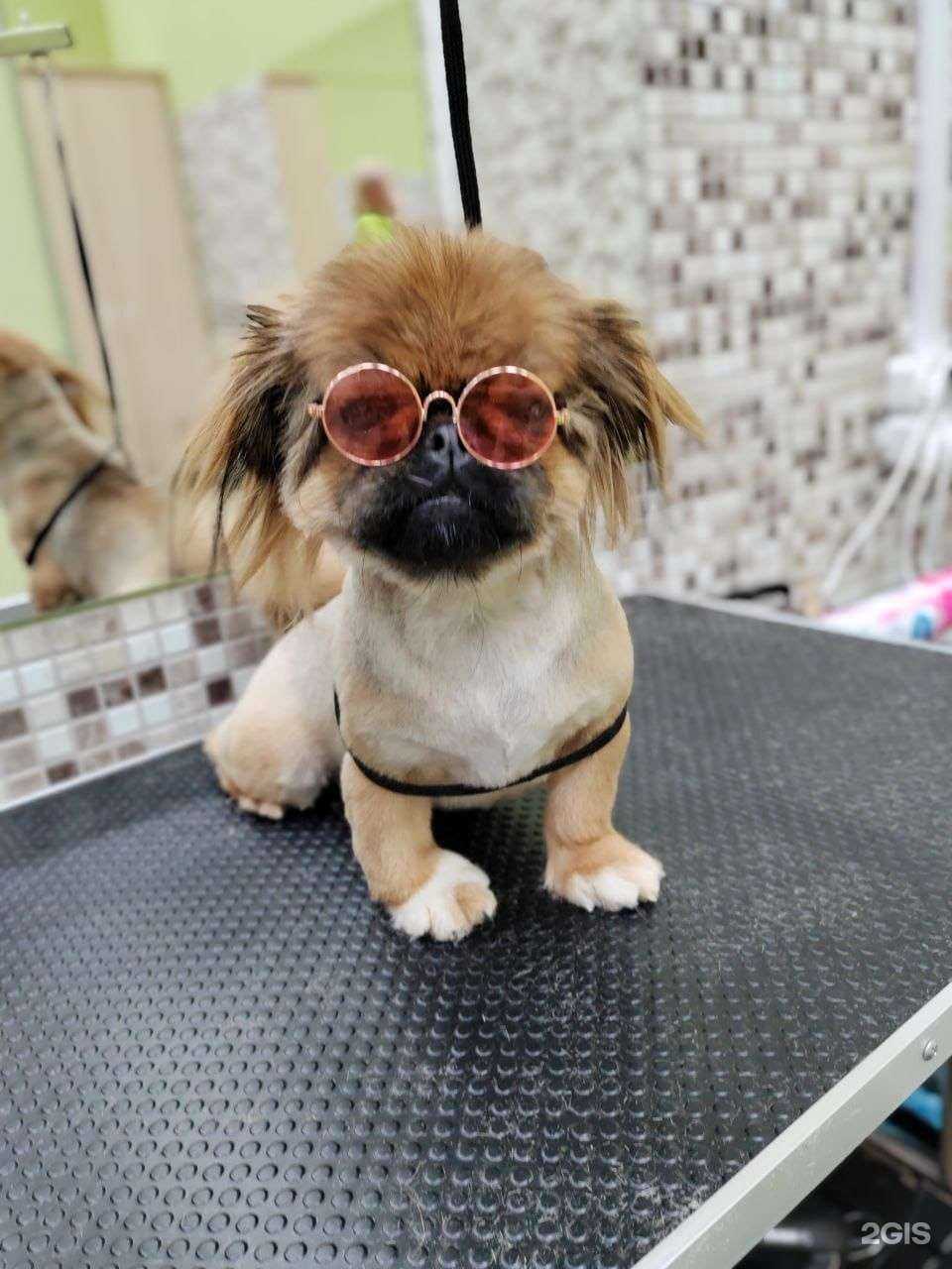 Отзывы на компанию Ноев ковчег в г. Новосибирск c фото