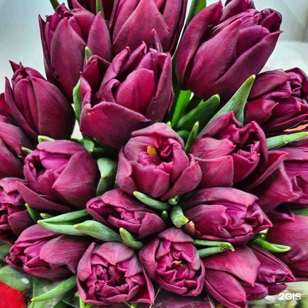 Отзывы на компанию Экзотика в Барнауле c фото