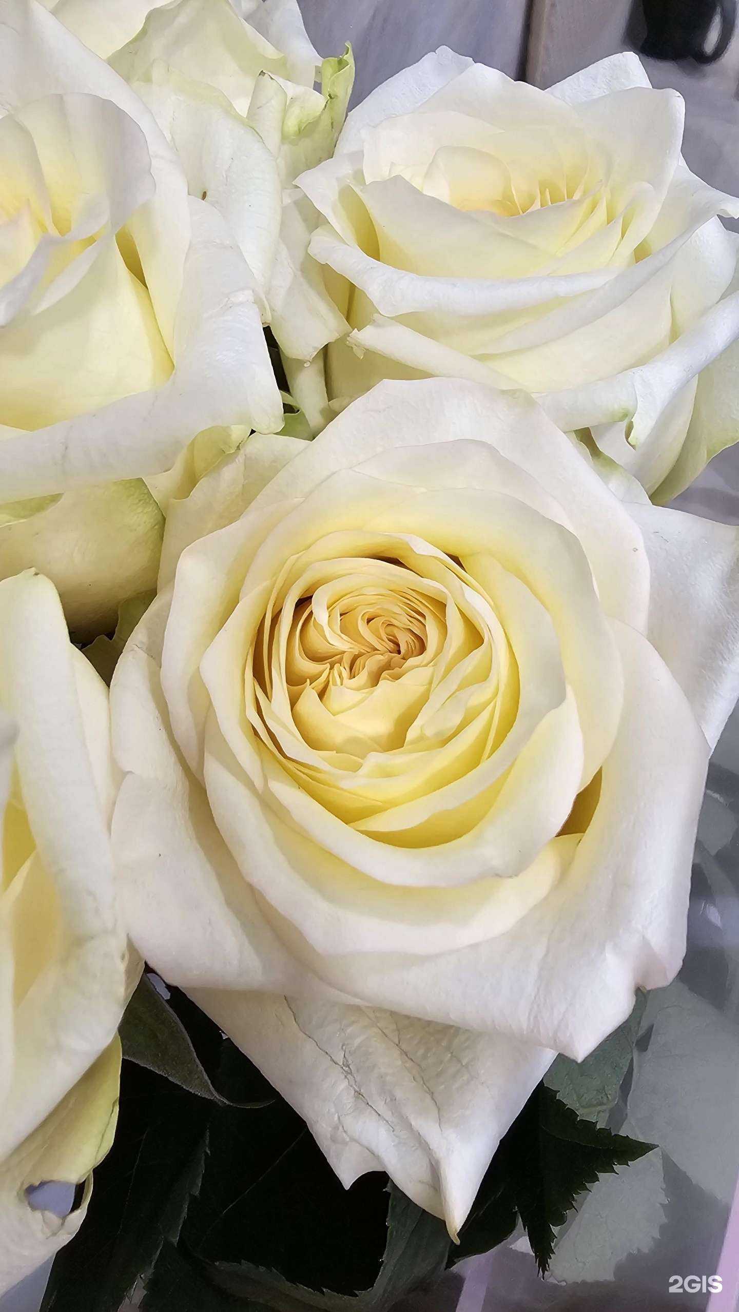 Отзывы на компанию Цветы рядом в Иркутске c фото