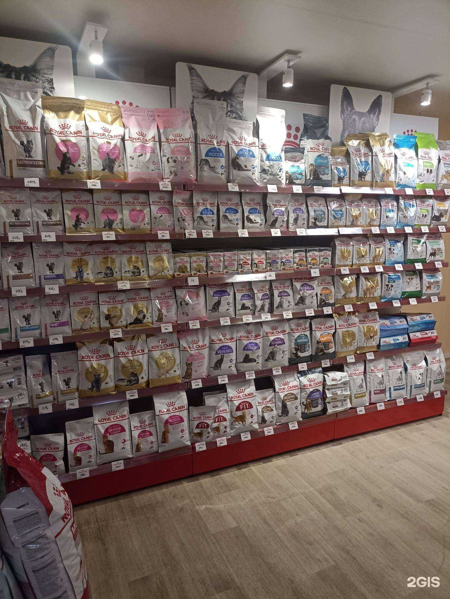 Отзывы на компанию Любимчик в Иркутске c фото