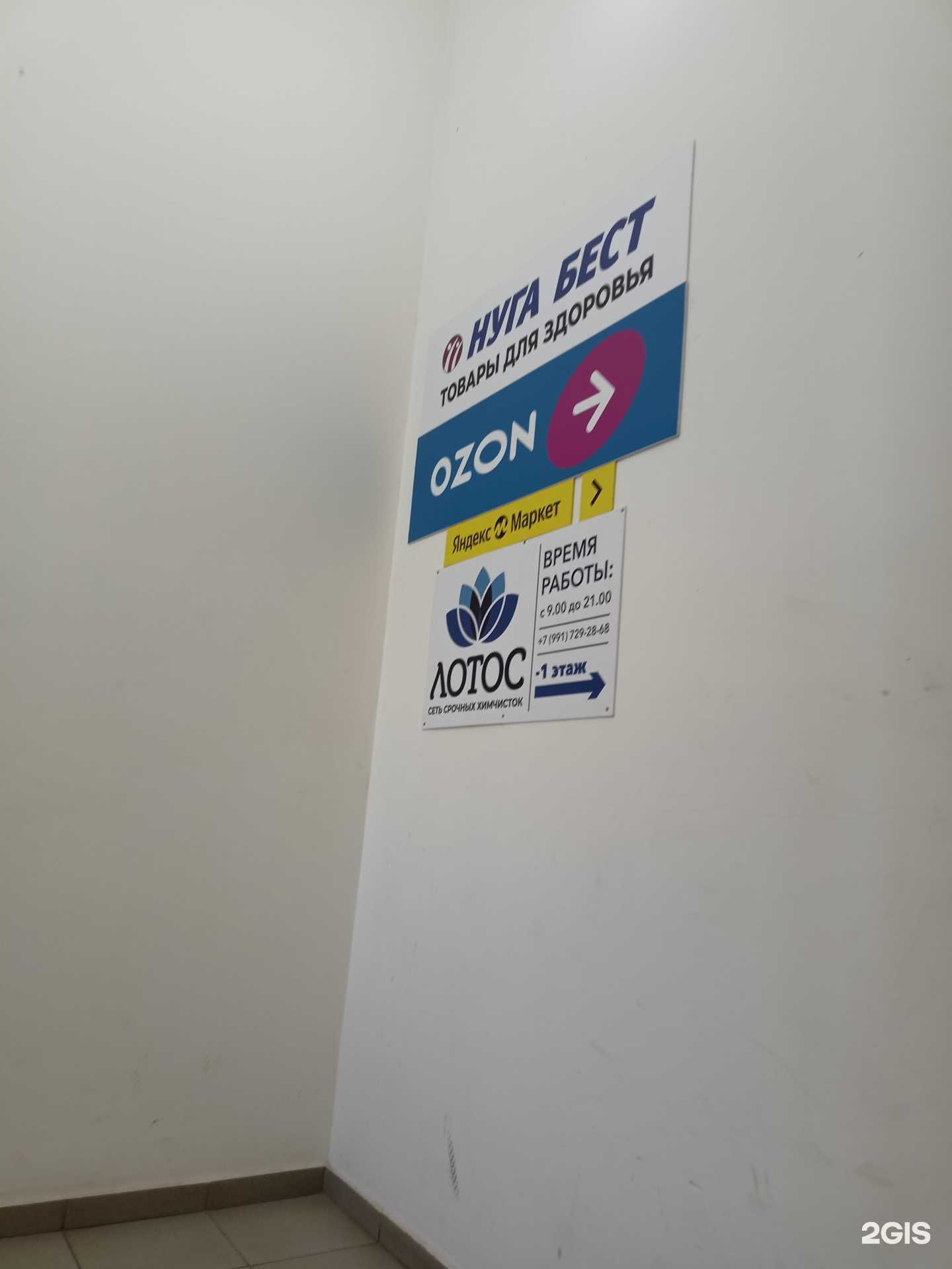 Отзывы на компанию Лотос в Балашихе c фото