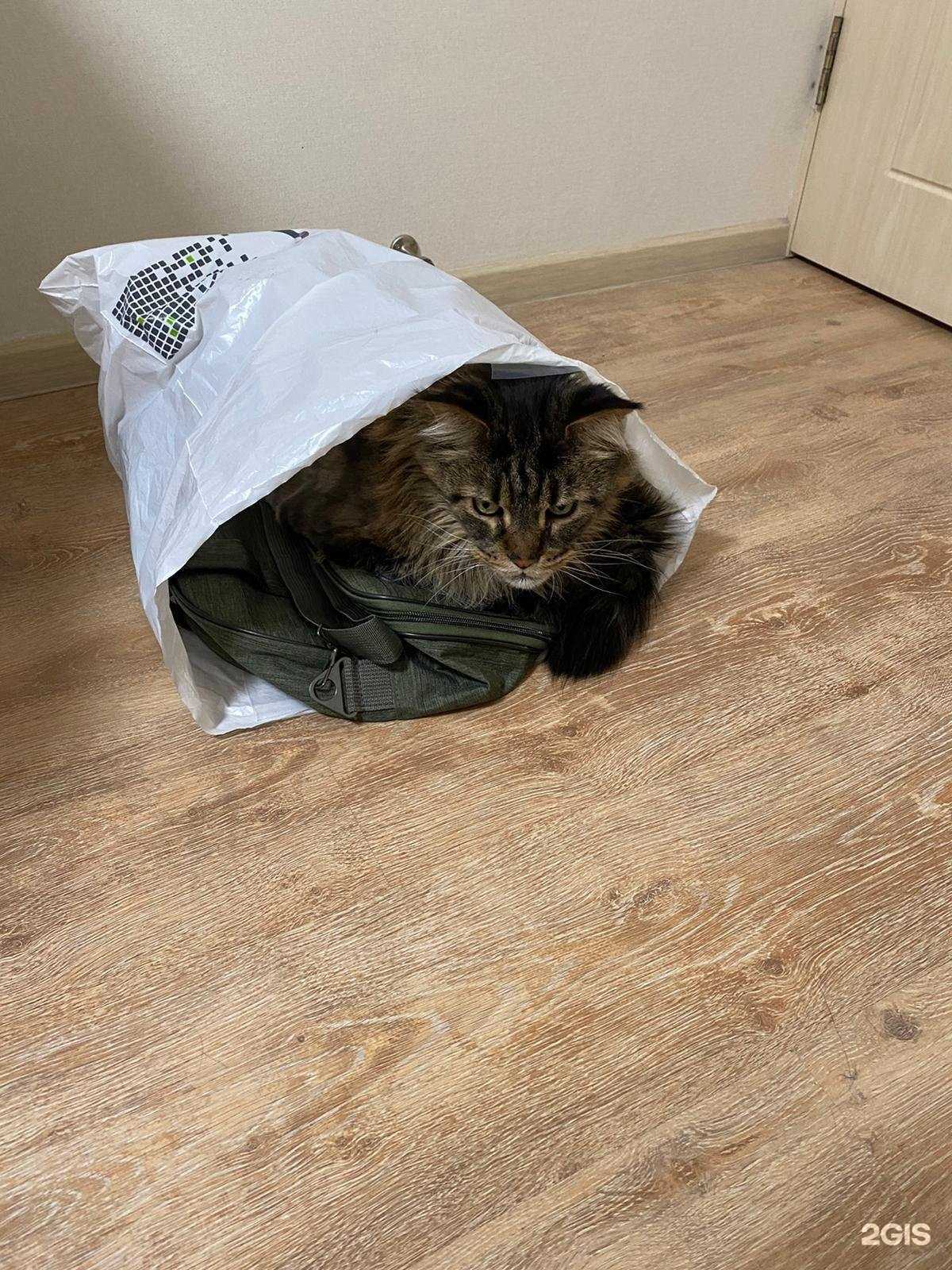 Отзывы на компанию Сдали/Сняли в Томске c фото