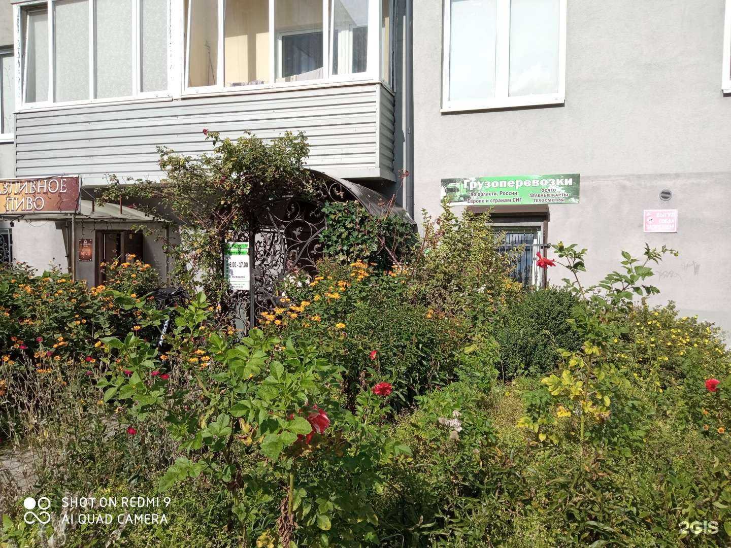 Отзывы на компанию Авто вита в г. Калининград c фото