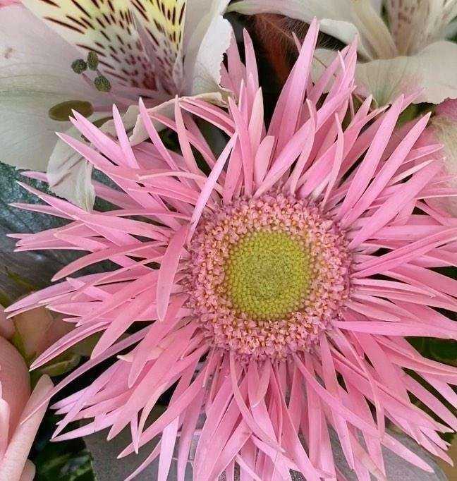 Отзывы на компанию Buketberry в г. Нижнекамск c фото