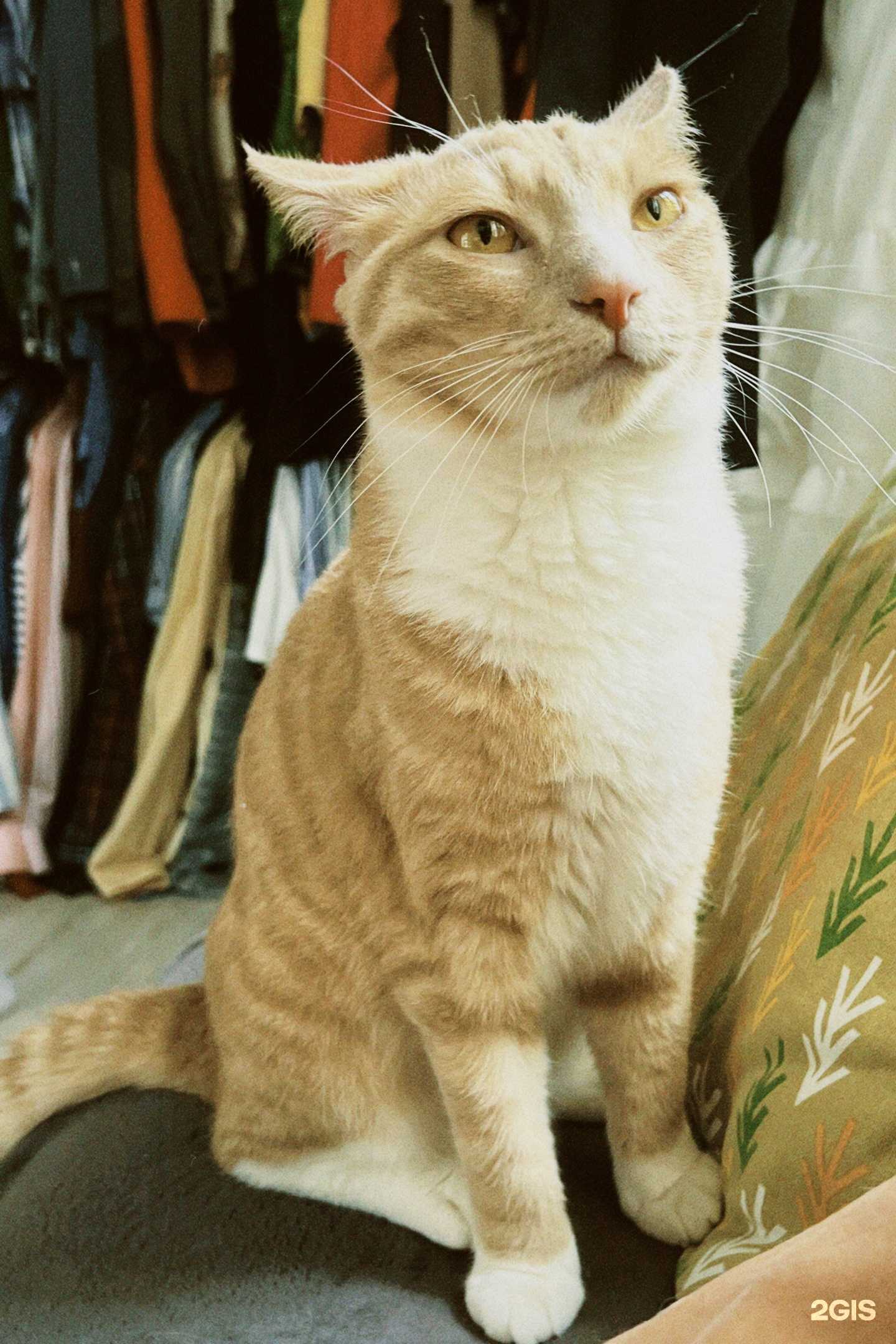 Отзывы на компанию Karma second в Владивостоке c фото