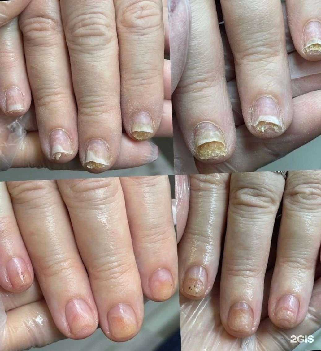 Отзывы на компанию Medped29 в г. Северодвинск c фото