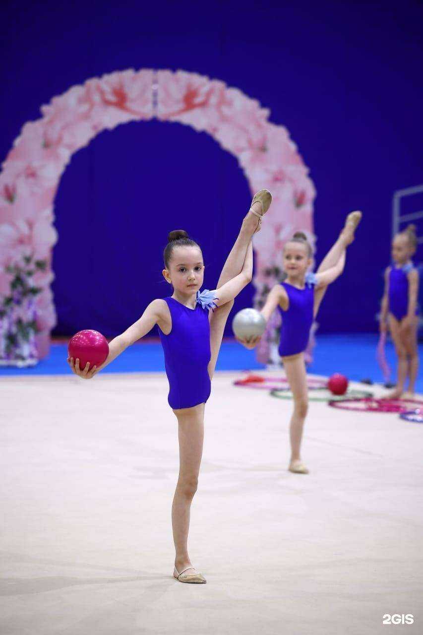 Отзывы на компанию Сопка в г. Красноярск c фото