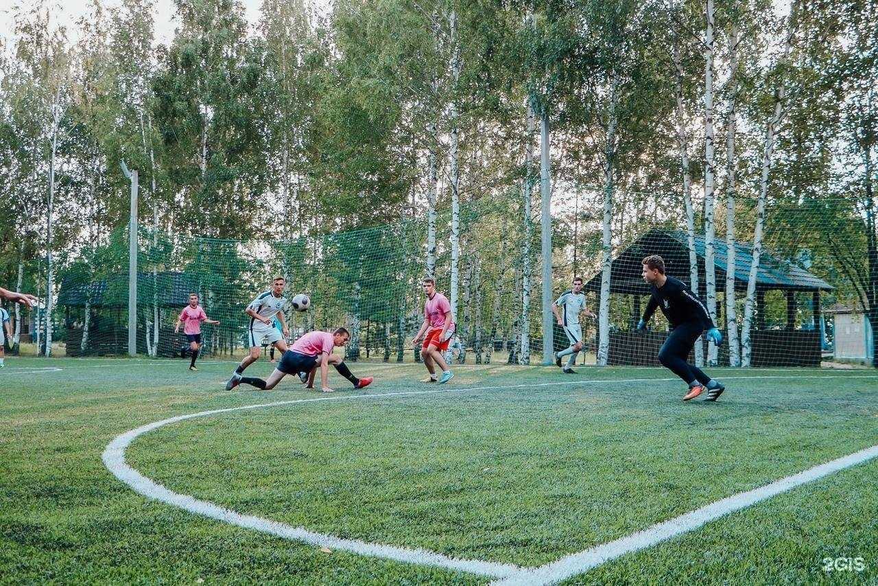 Отзывы на компанию Новинки в Нижнем Новгороде c фото