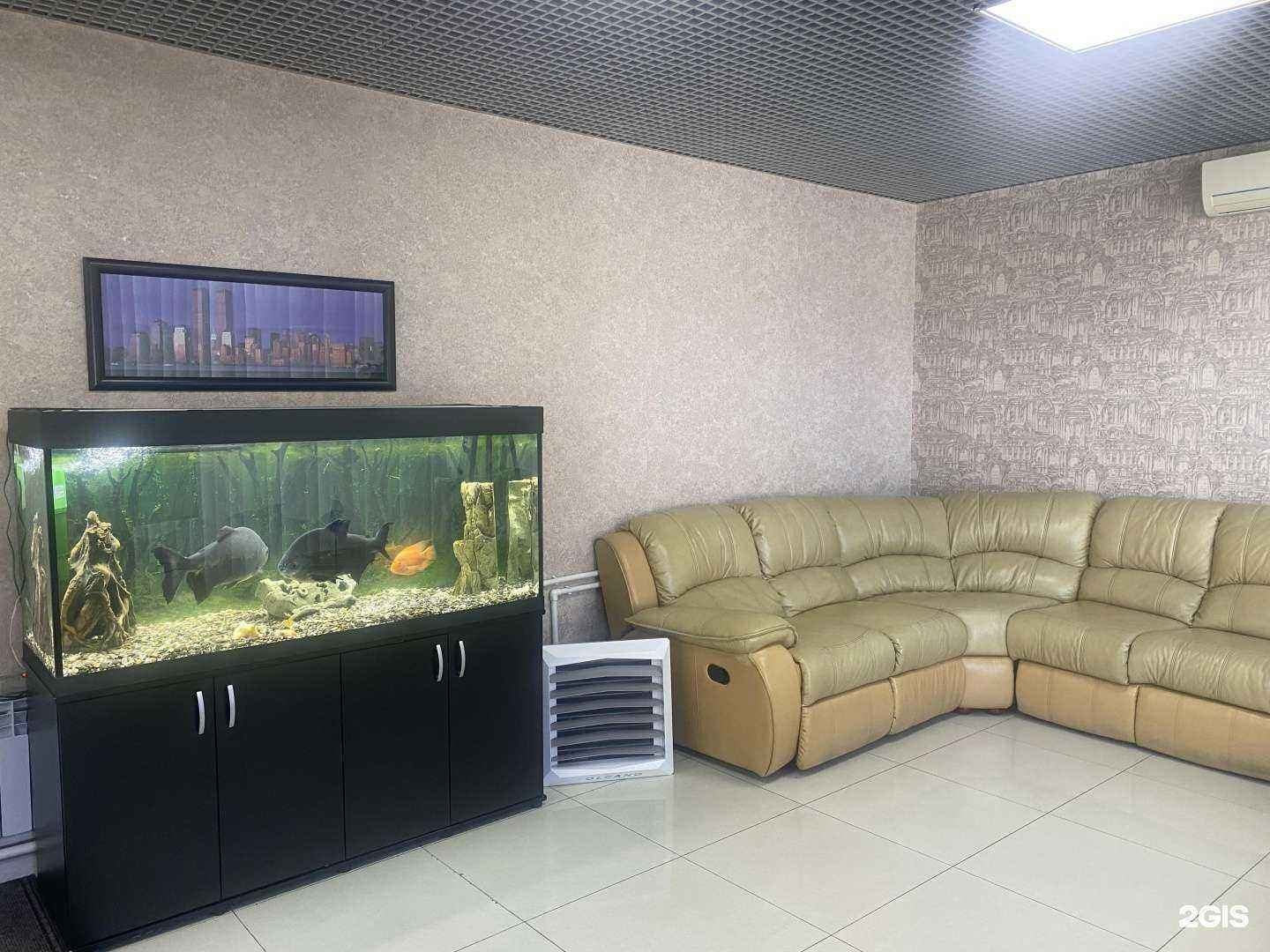 Отзывы на компанию Стэндокс в Чите c фото