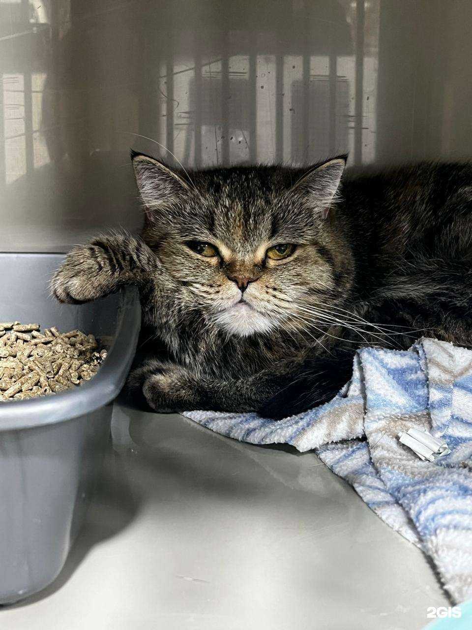 Отзывы на компанию Дарвин в г. Новосибирск c фото