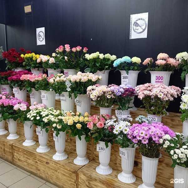 Отзывы на компанию Диантус в Оренбурге c фото