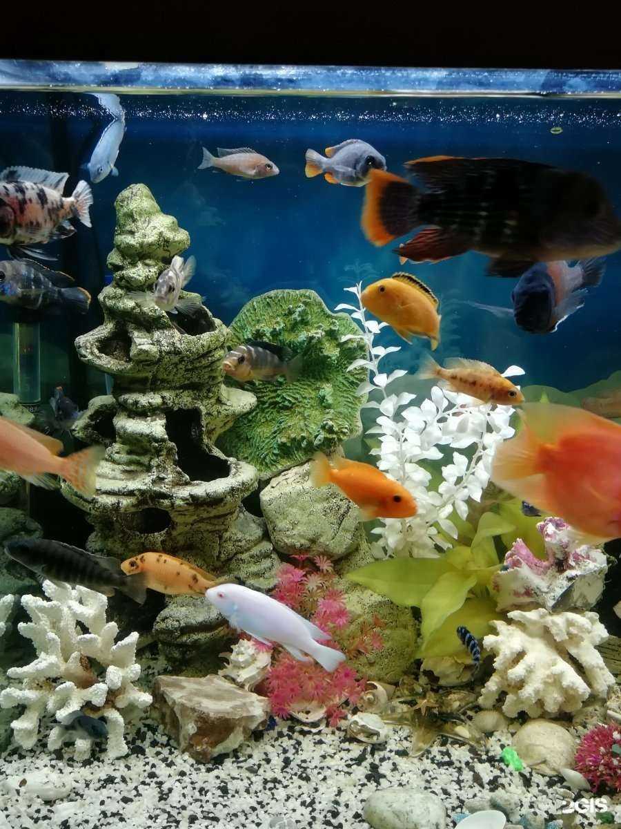 Отзывы на компанию Аквакласс в г. Тула c фото