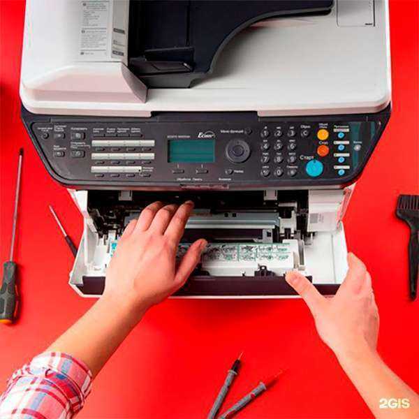 Отзывы на компанию Карт-ин в г. Петропавловск-Камчатский c фото