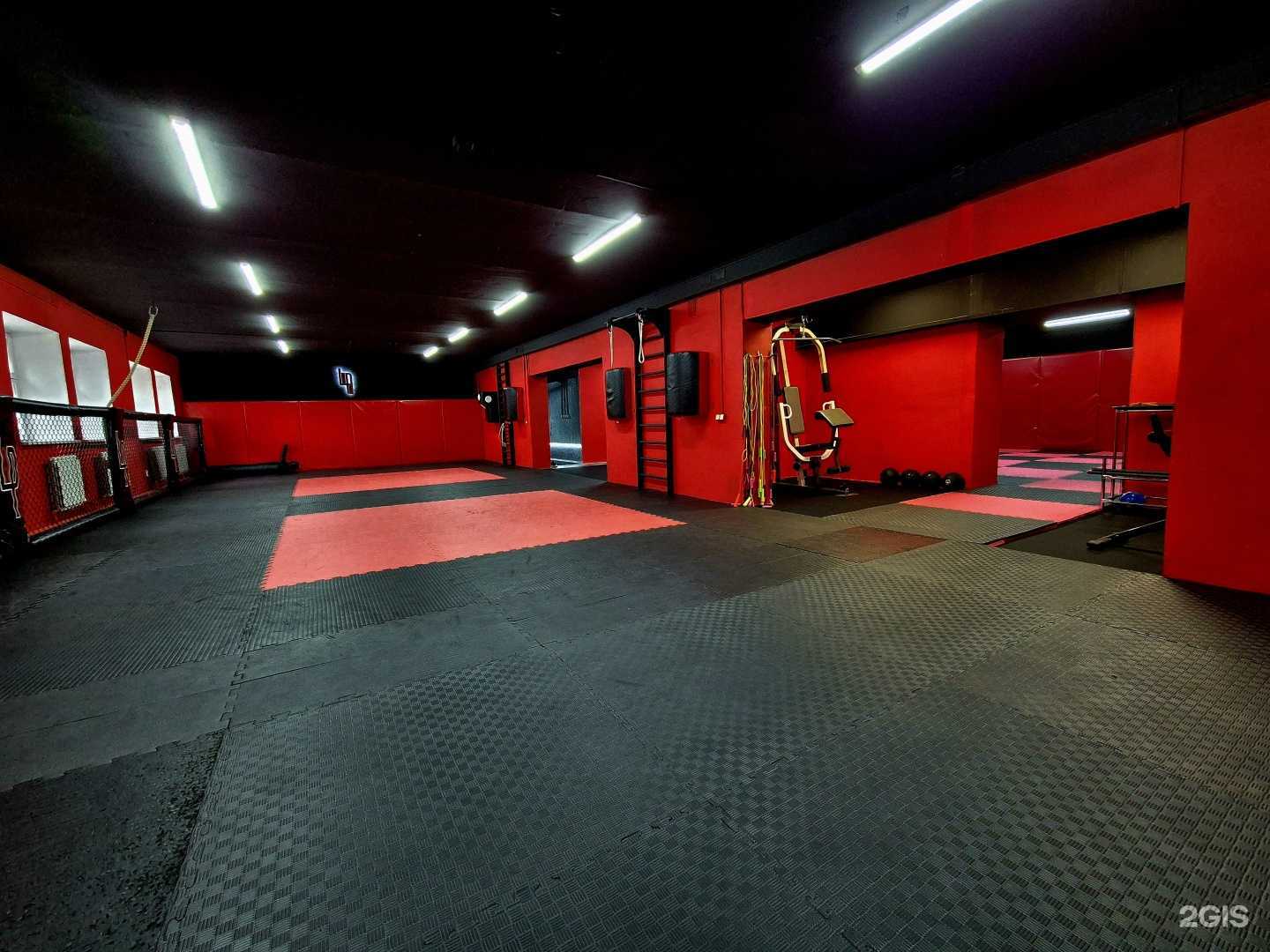 Отзывы на компанию Лапа в Вологде c фото