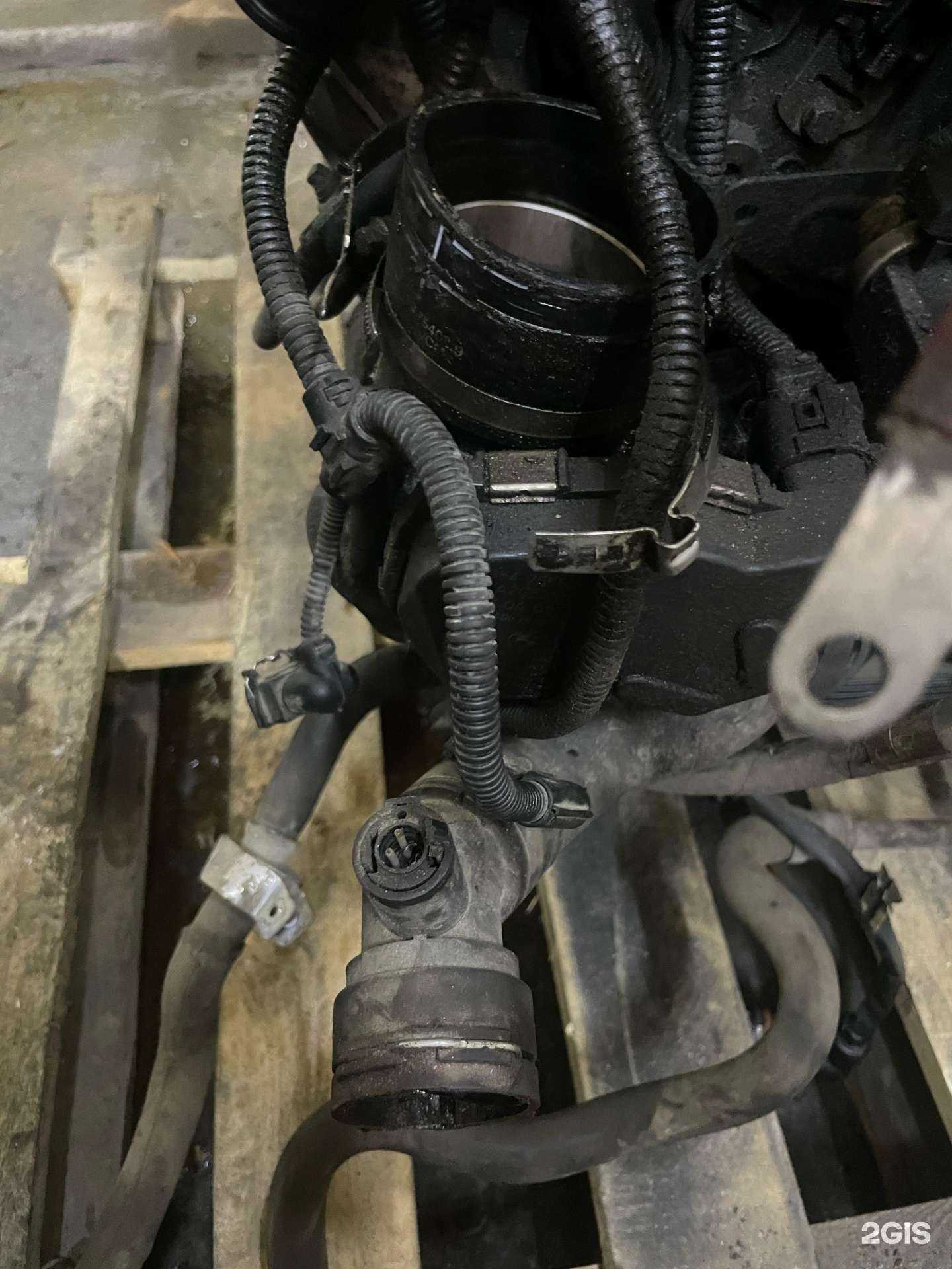 Отзывы на компанию G в Твери c фото