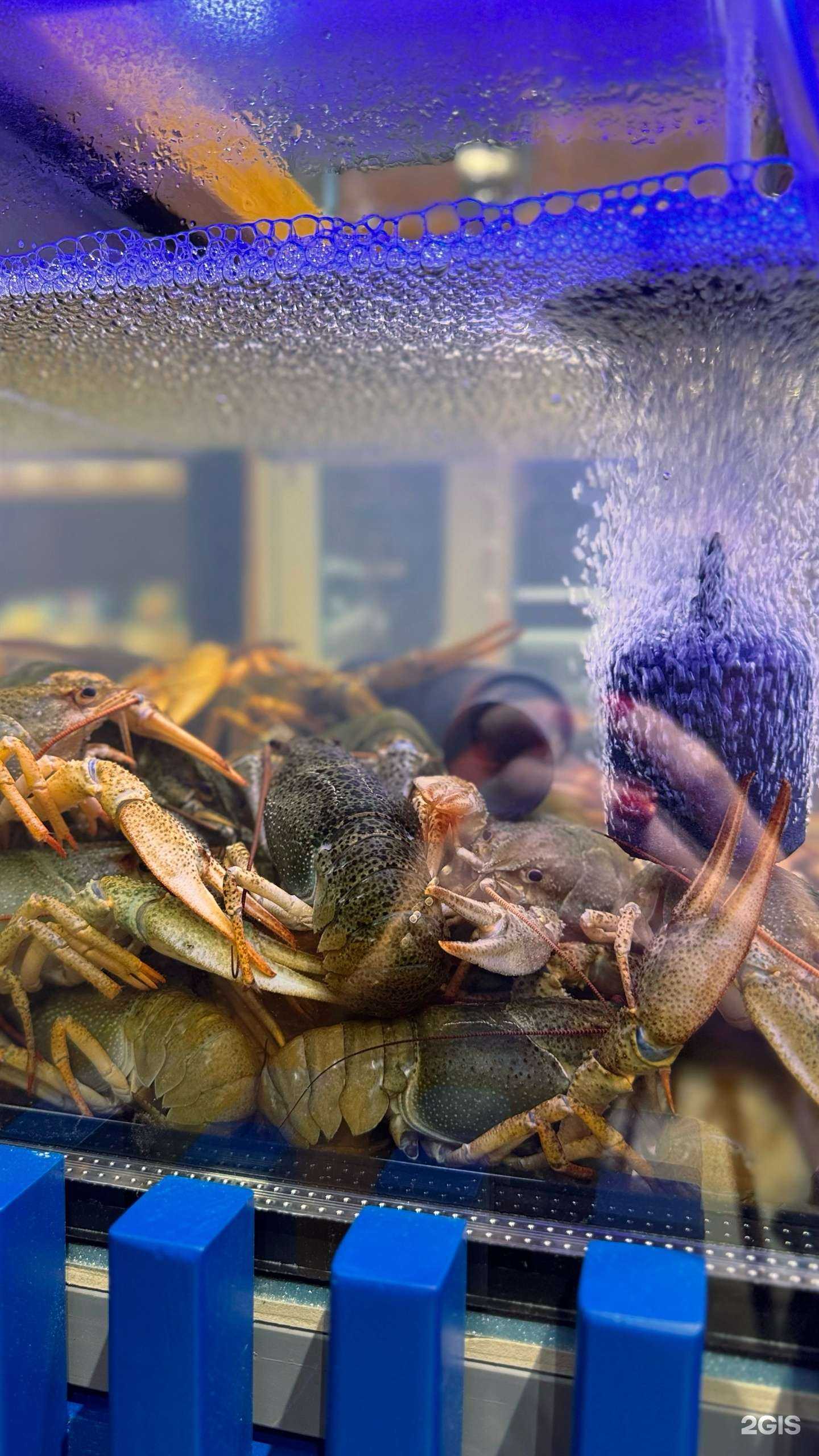 Отзывы на компанию Крабсбир в г. Краснодар c фото