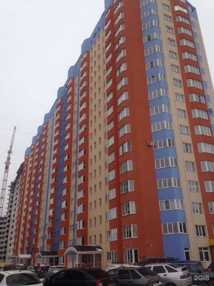 Отзывы на компанию Здоровый город в Воронеже c фото - фотография 2 из 2