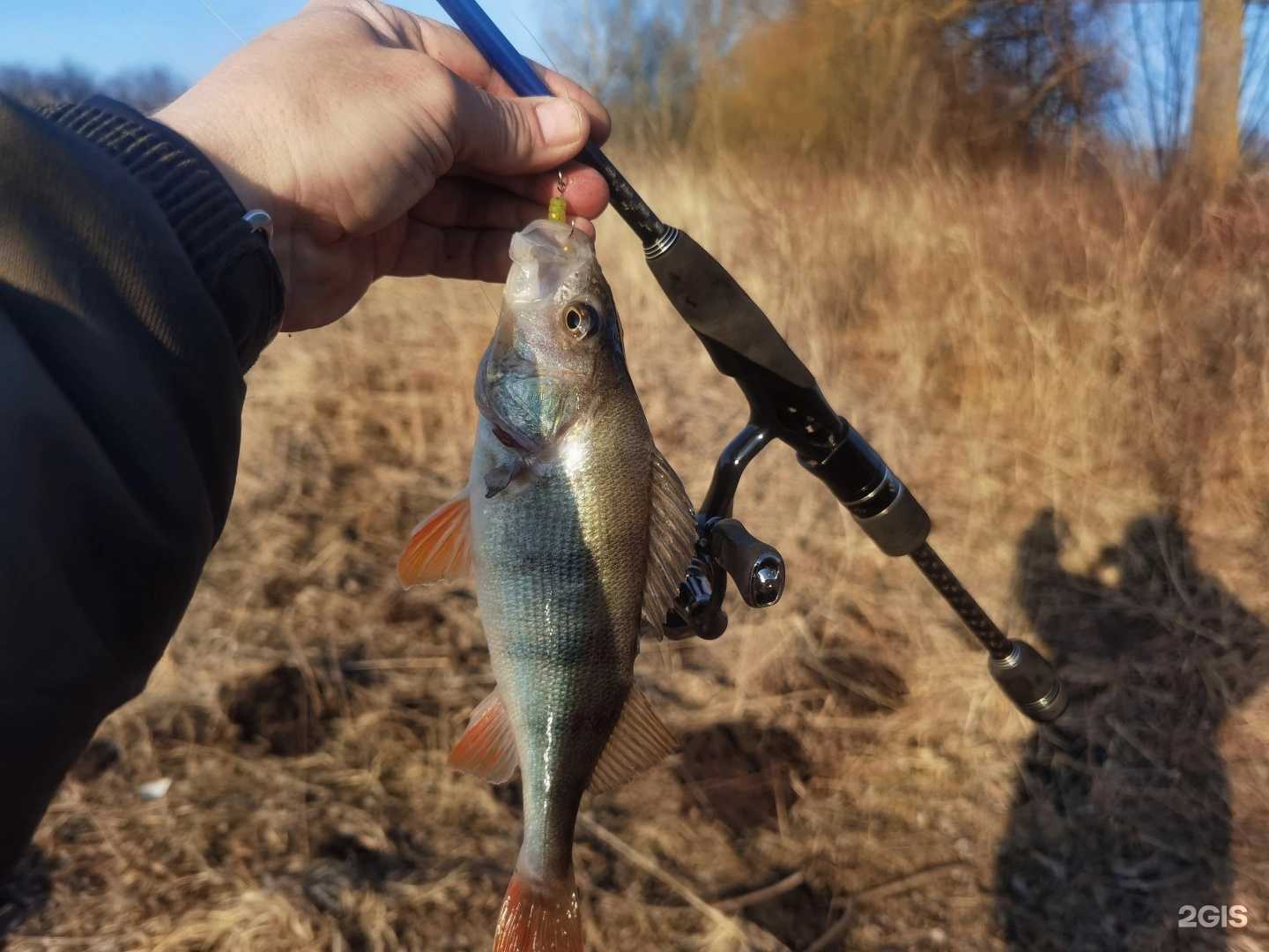 Отзывы на компанию Наживка в Перми c фото