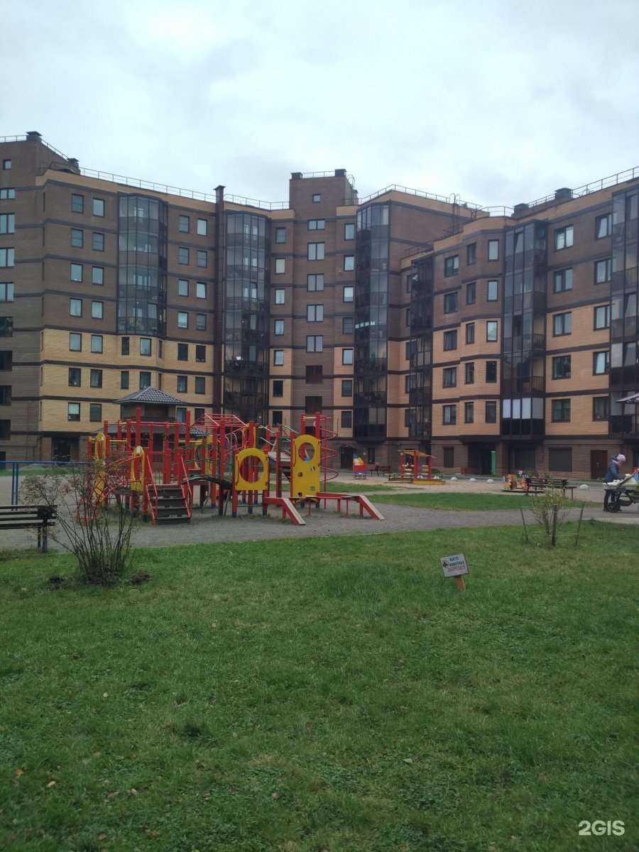 Отзывы на компанию Тигрёнок в Всеволожске c фото - фотография 2 из 2