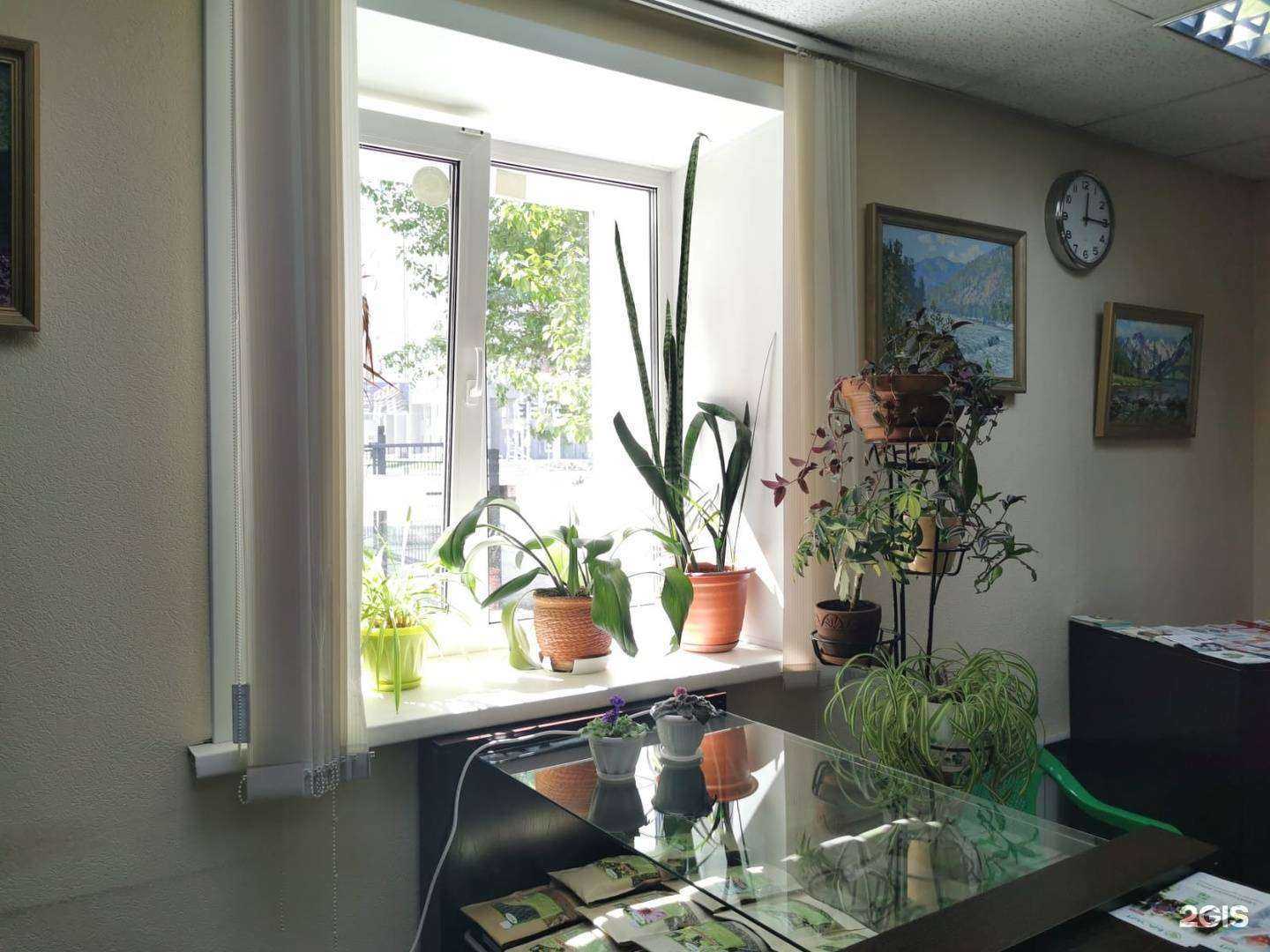 Отзывы на компанию Биолит в г. Новосибирск c фото