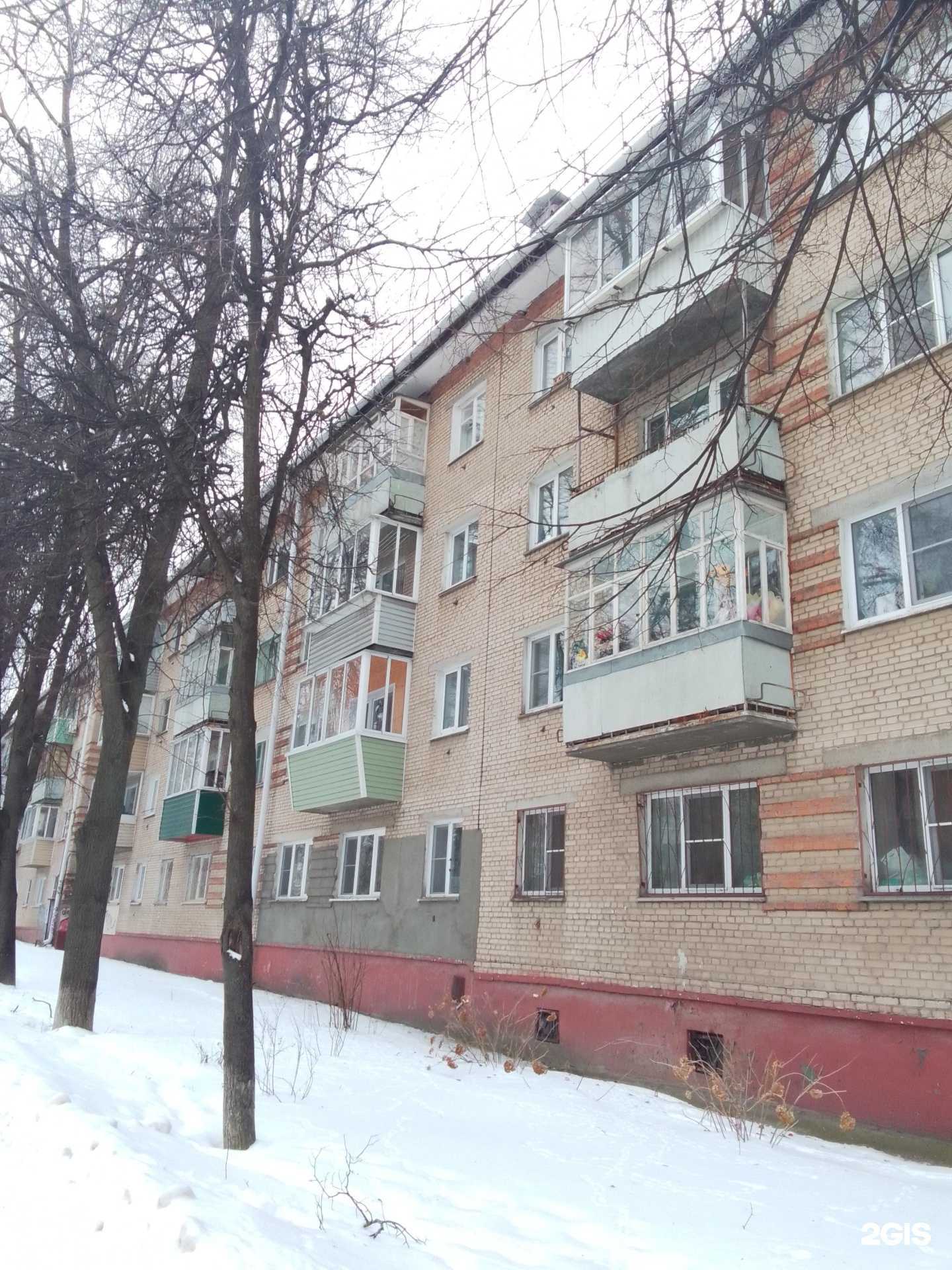 Отзывы на компанию Zoostil Groom в Обнинске c фото - фотография 2 из 2