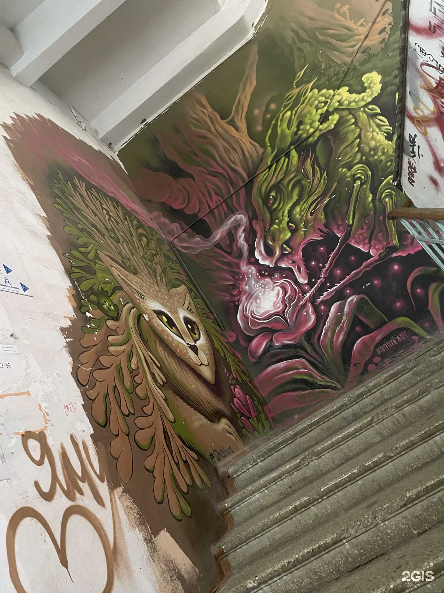 Отзывы на компанию Polka в Краснодаре c фото - фотография 2 из 2