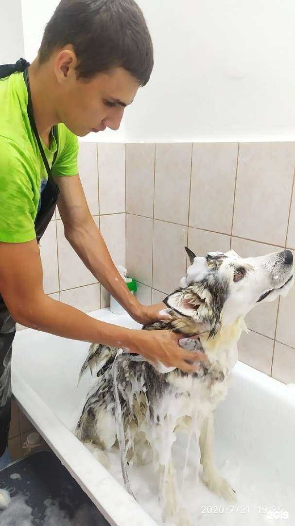 Отзывы на компанию ЛедиМур в г. Челябинск c фото