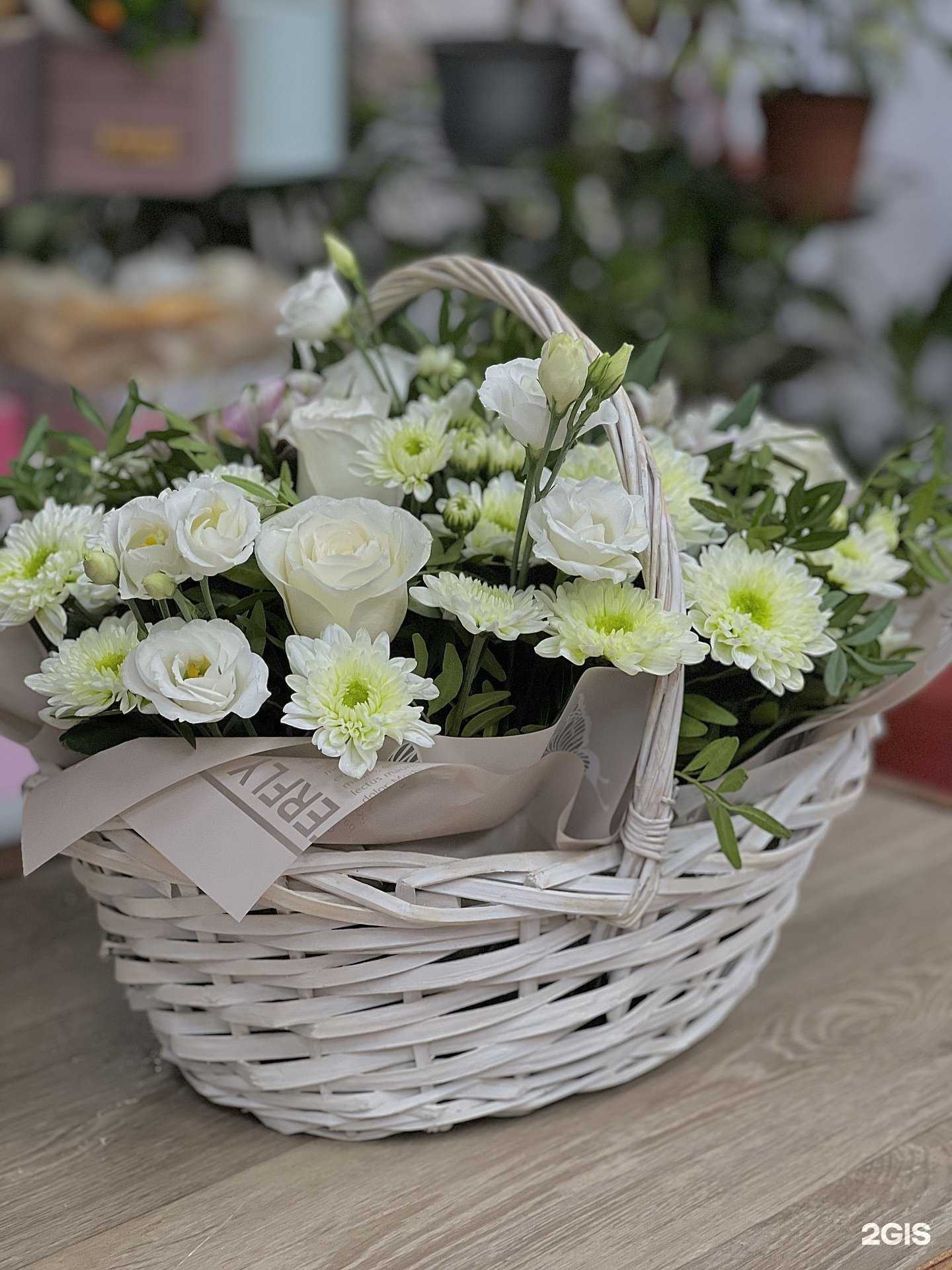 Отзывы на компанию Розалия в г. Ярославль c фото