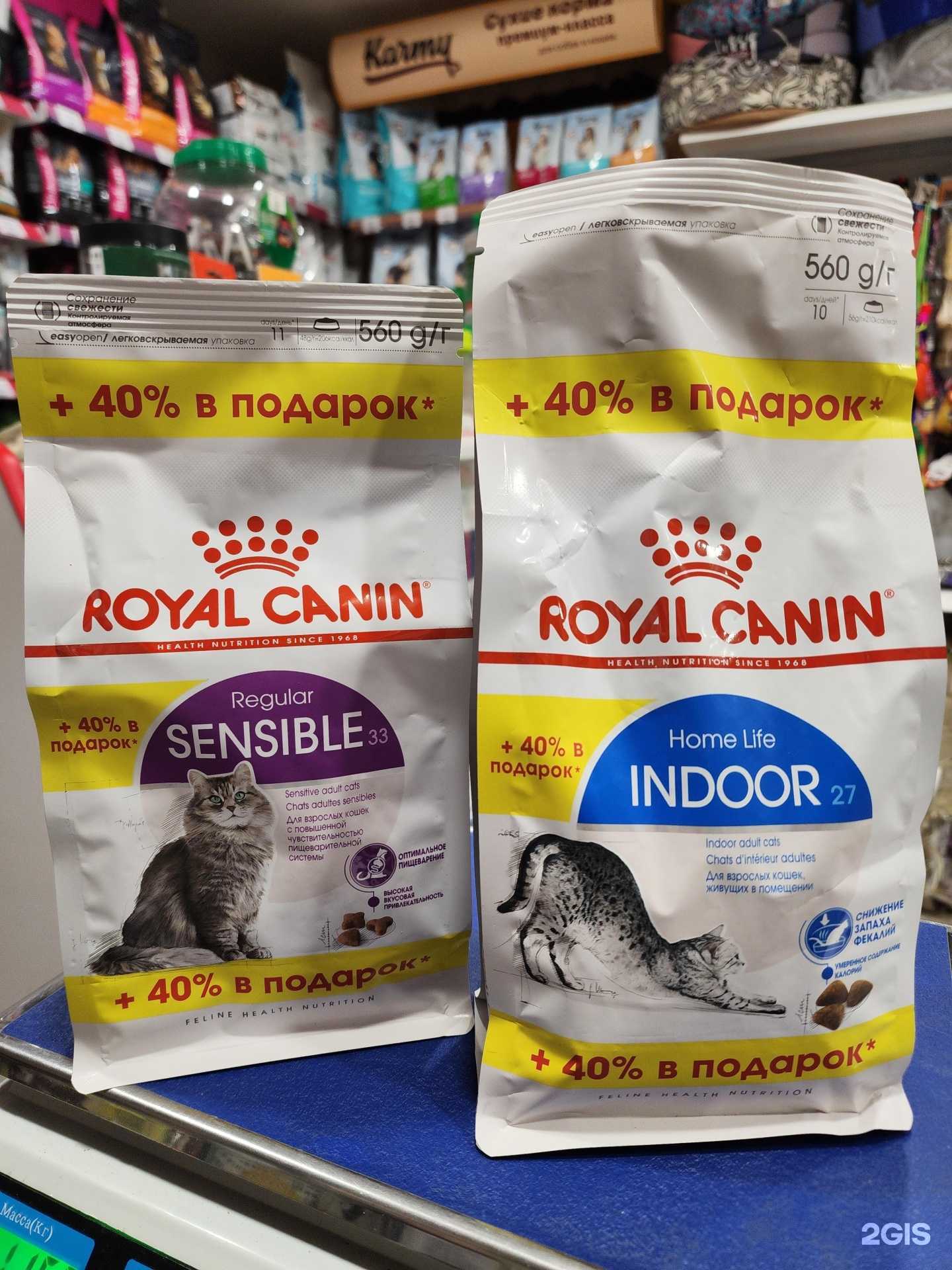 Отзывы на компанию 101 далматинец в г. Ставрополь c фото