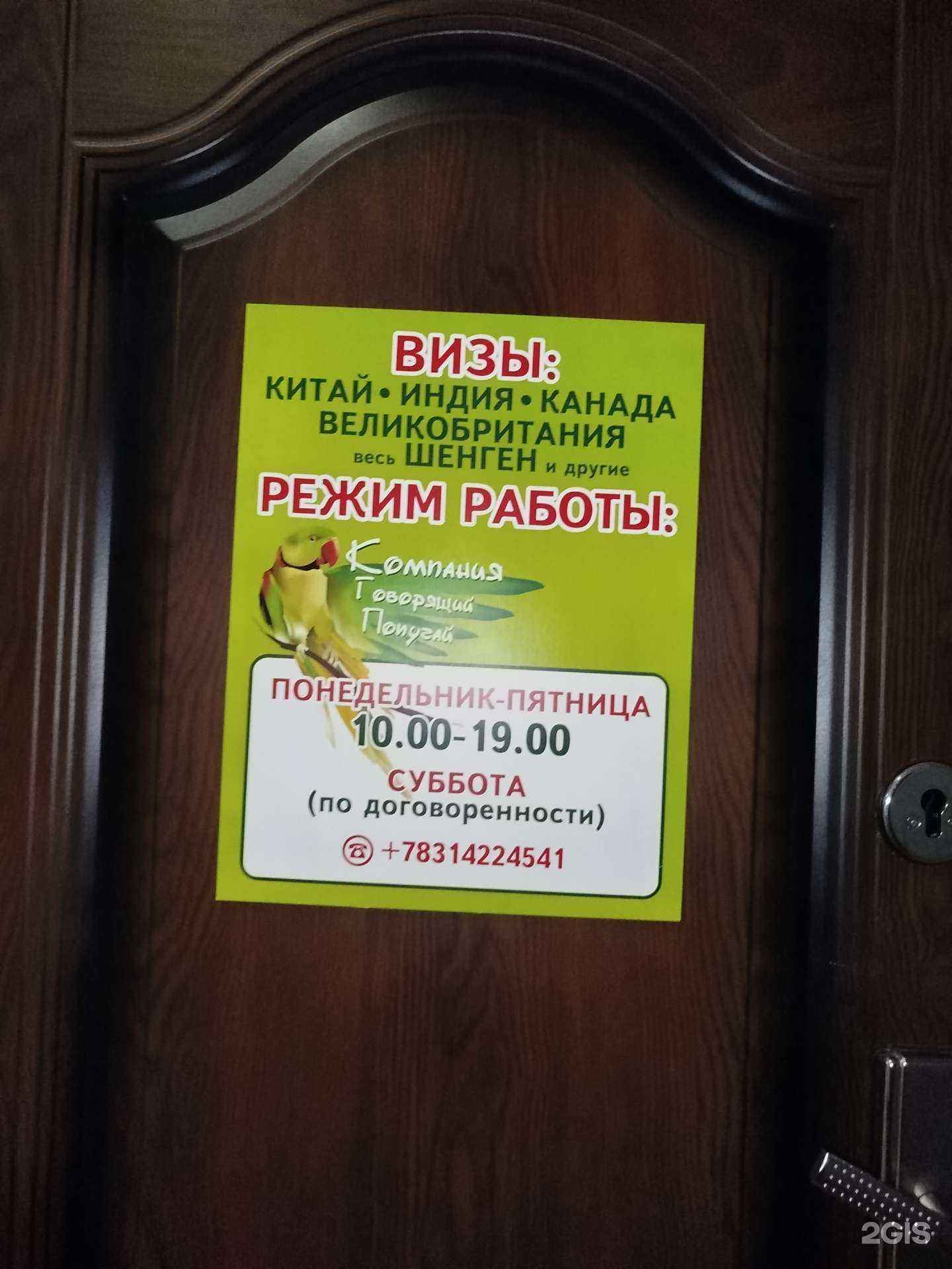 Отзывы на компанию Говорящий Попугай в Нижнем Новгороде c фото