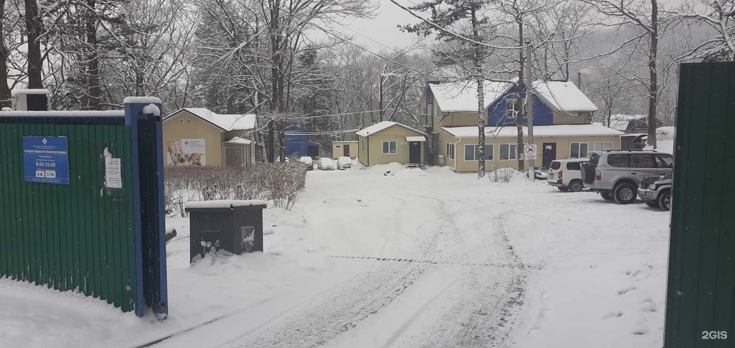 Отзывы на компанию Владивостокская ветеринарная станция по борьбе с болезнями животных в Владивостоке c фото